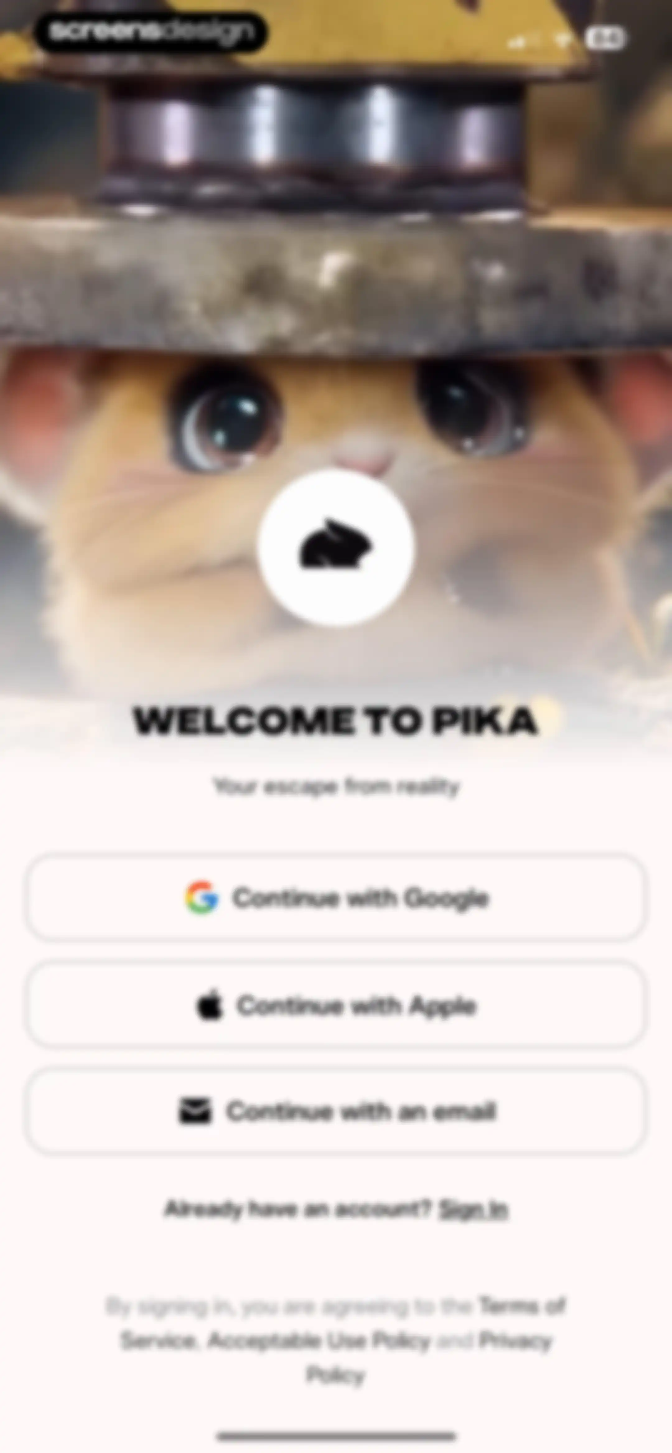 Pika Video screen 2