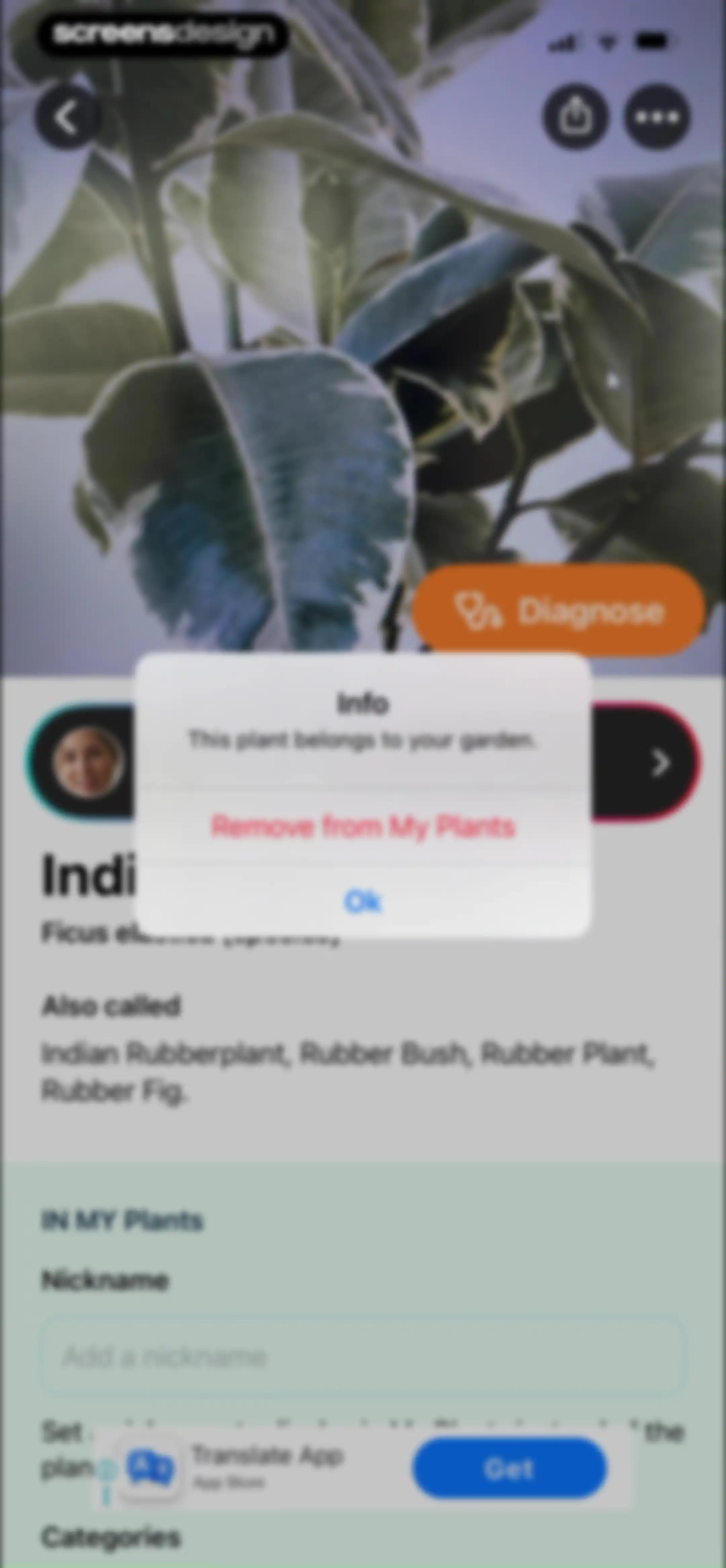 Free Plant Identifier screen 40