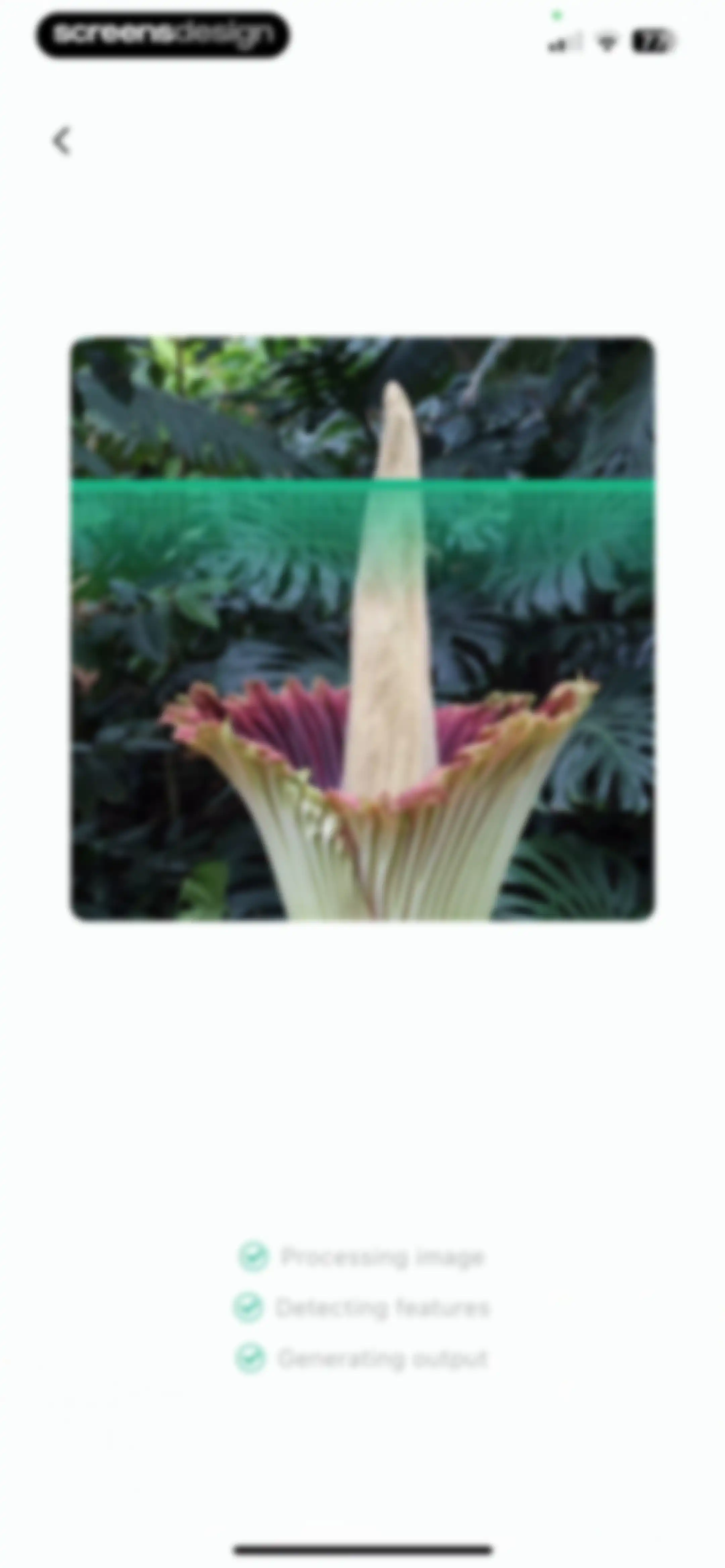 Plant Identifier: ChatPlant AI screen 60