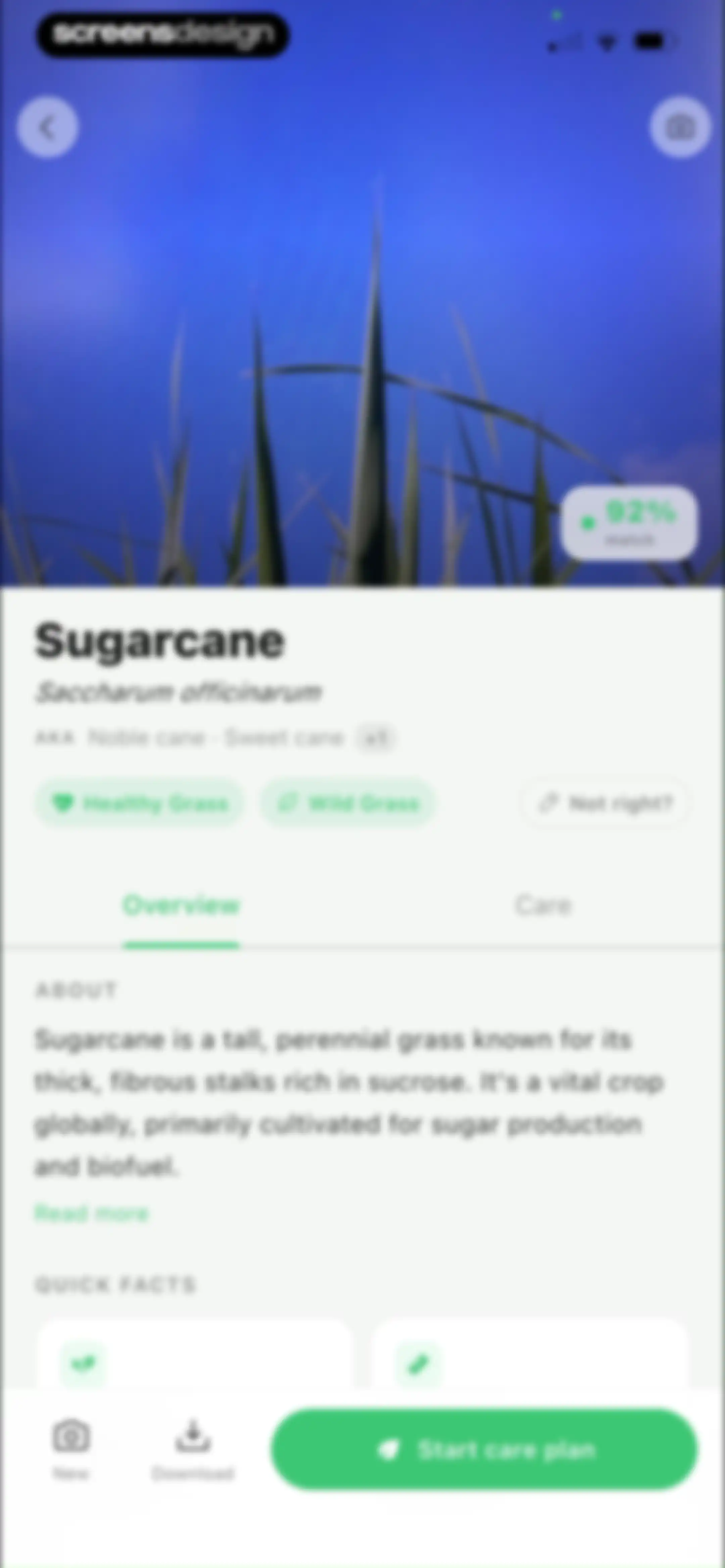 Grass Identifier: AI Scan screen 21