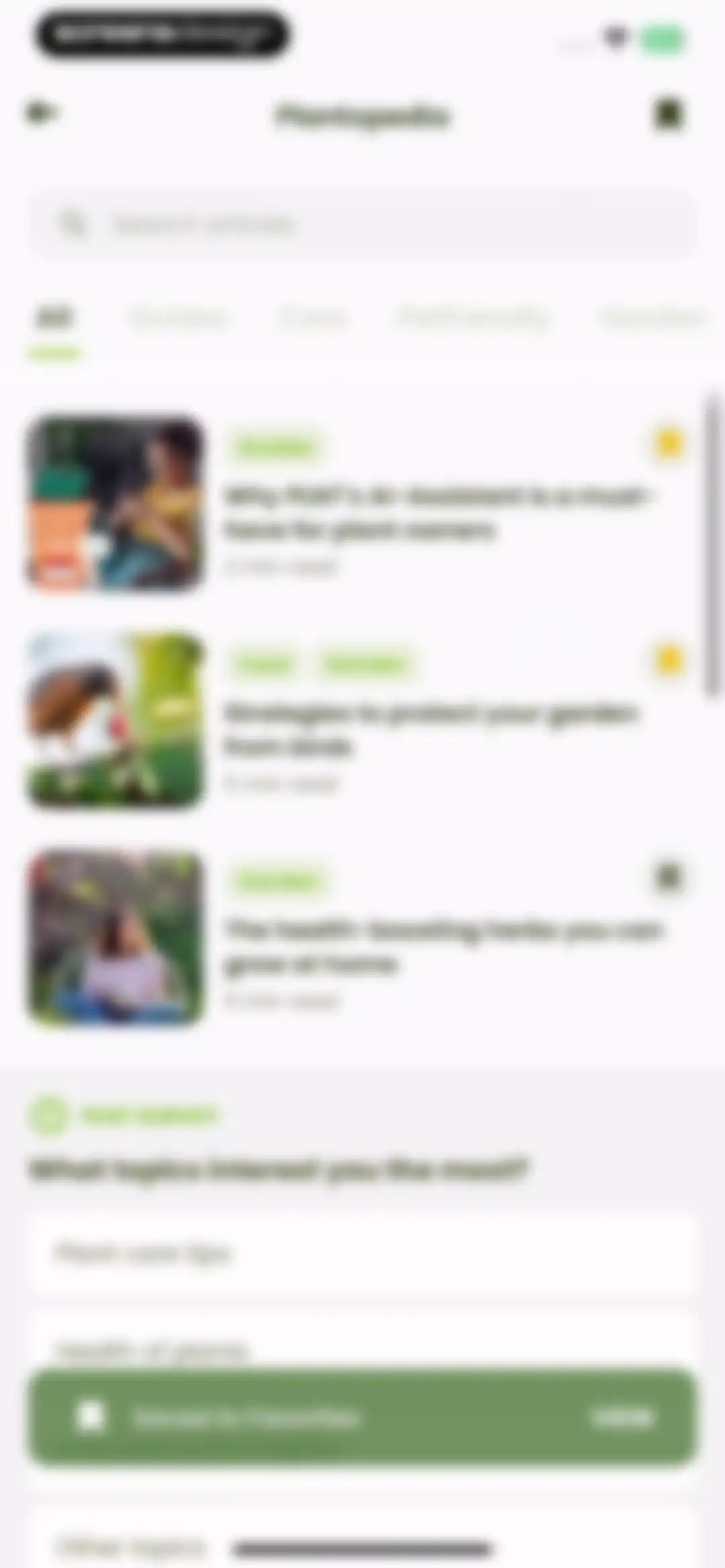 Plant Identifier & Care: Ficus screen 90