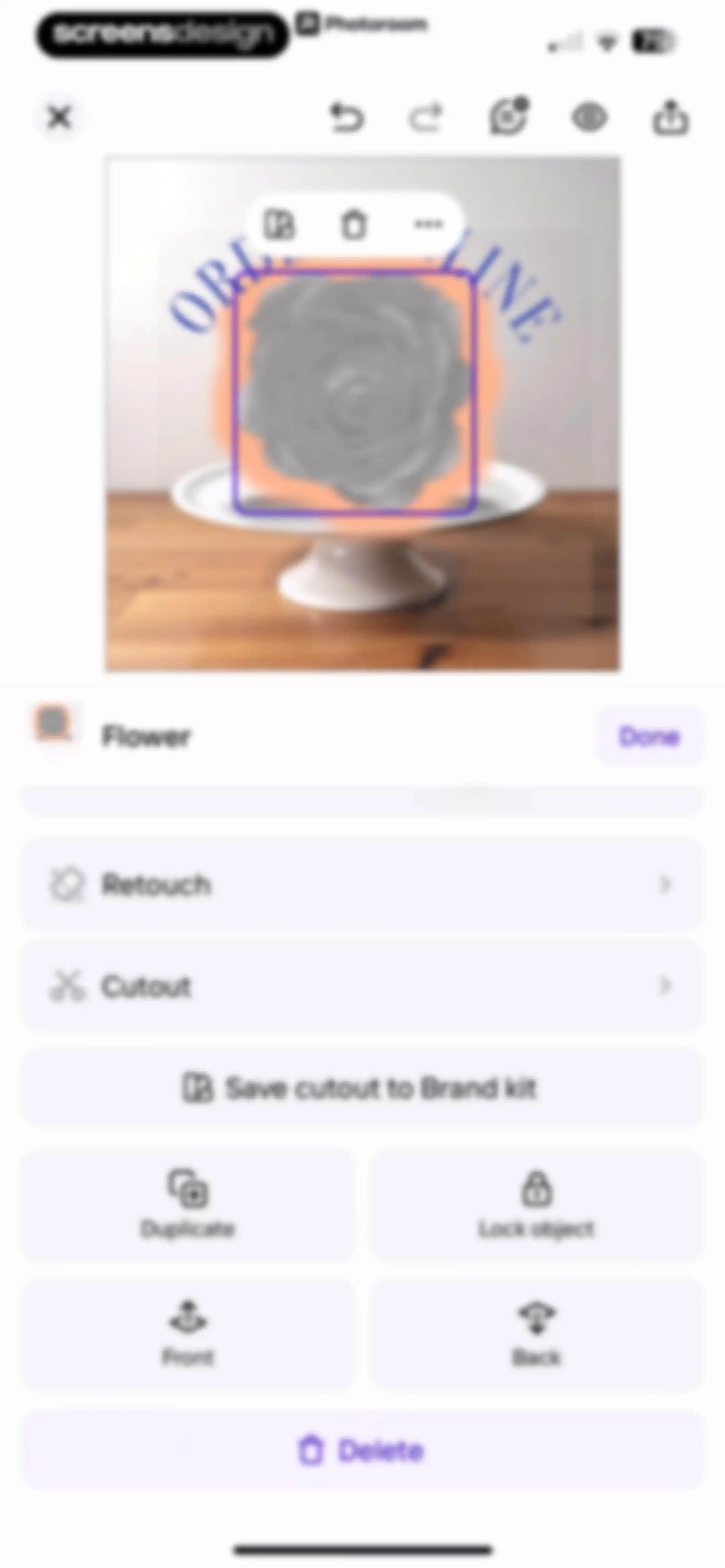 Photoroom: AI Photo Editor screen 87