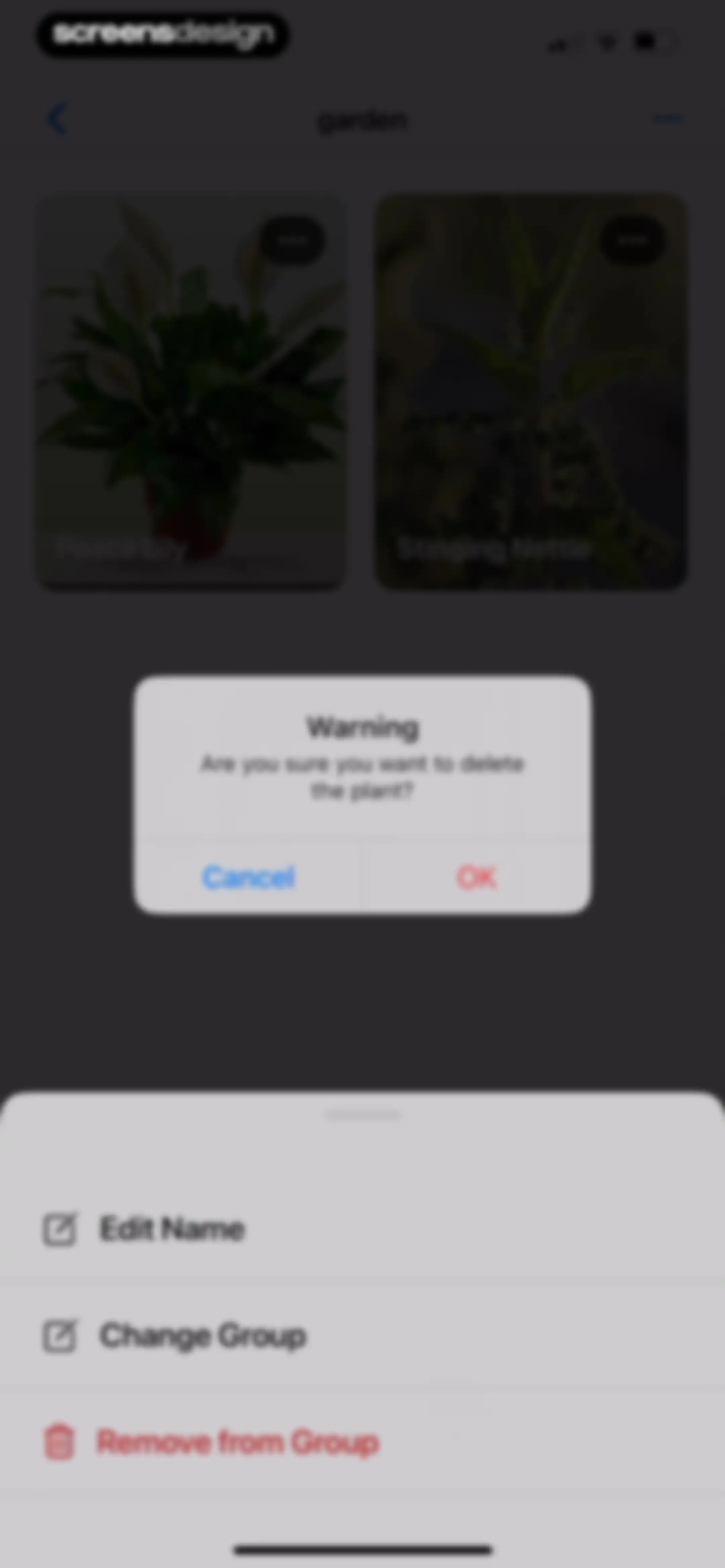 Plant App: Plant Identifier screen 131