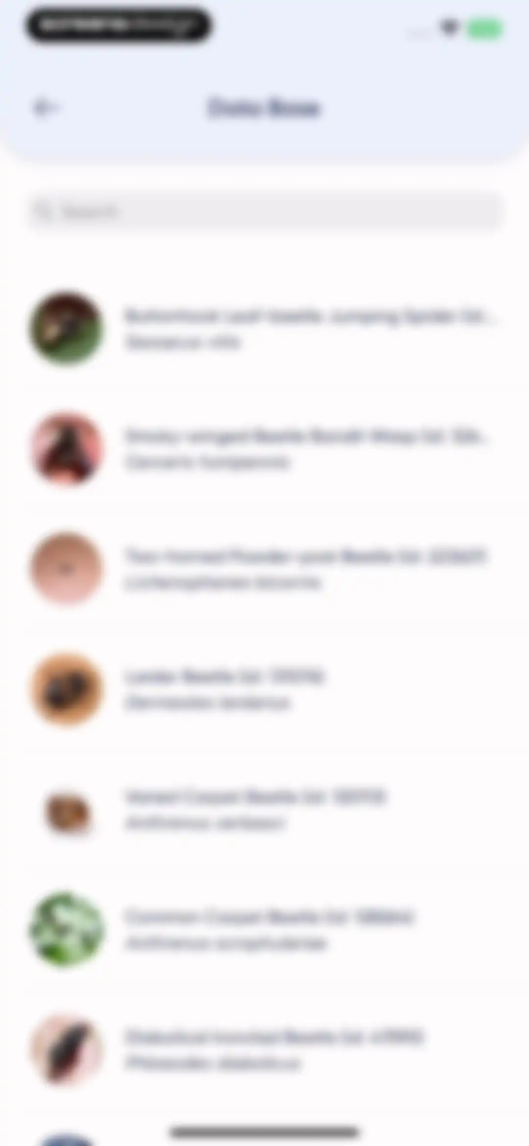 Bug Identifier: AI Insect id screen 31