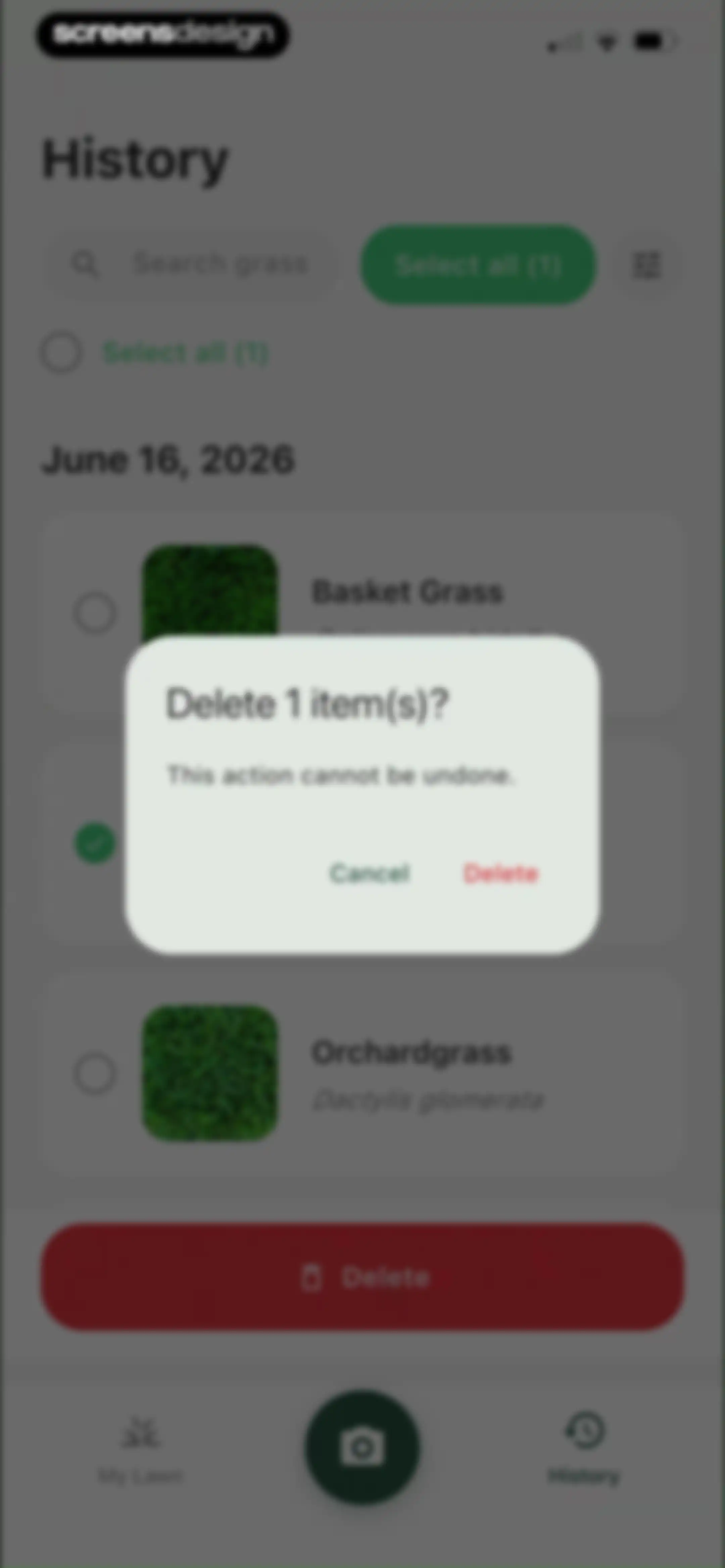 Grass Identifier: AI Scan screen 55