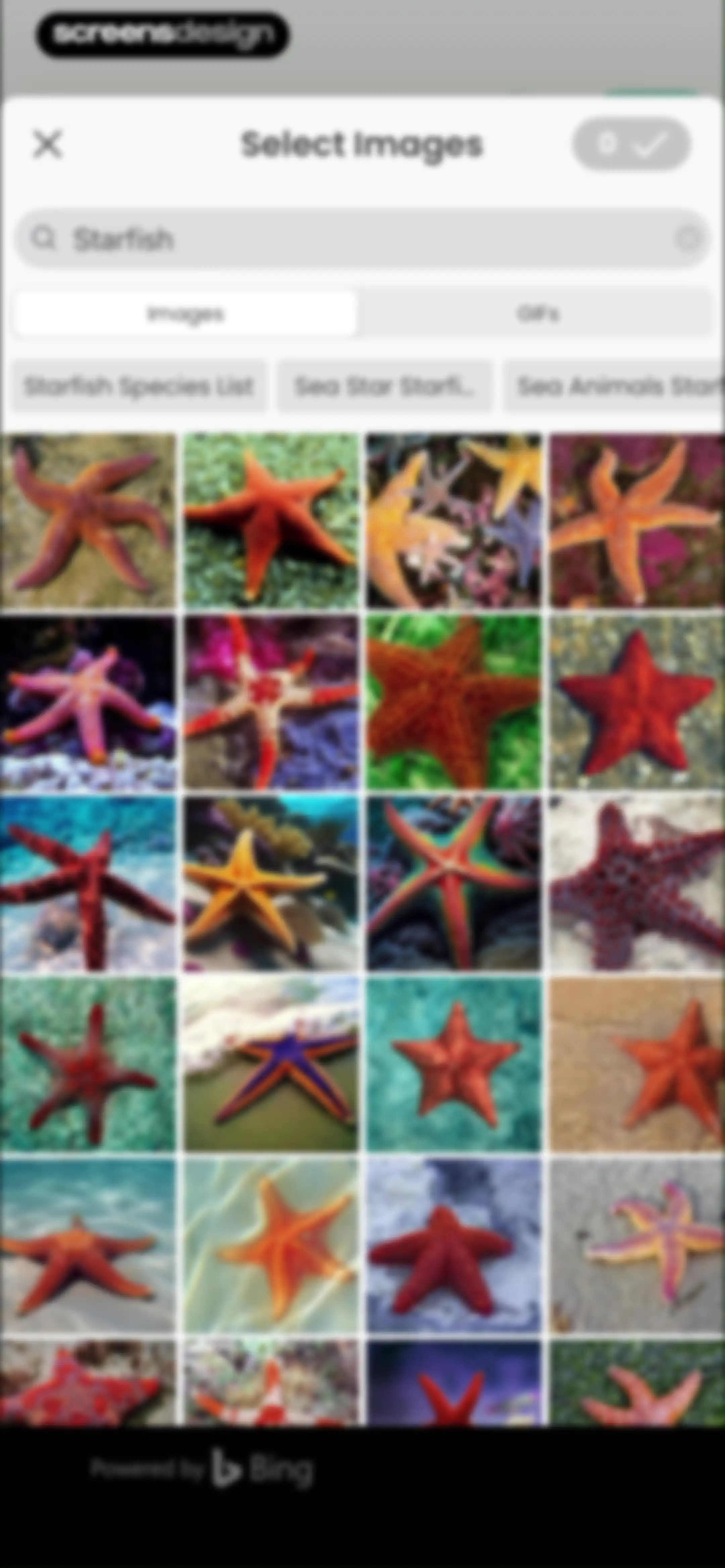 PicCollage: Magic Photo Editor screen 59