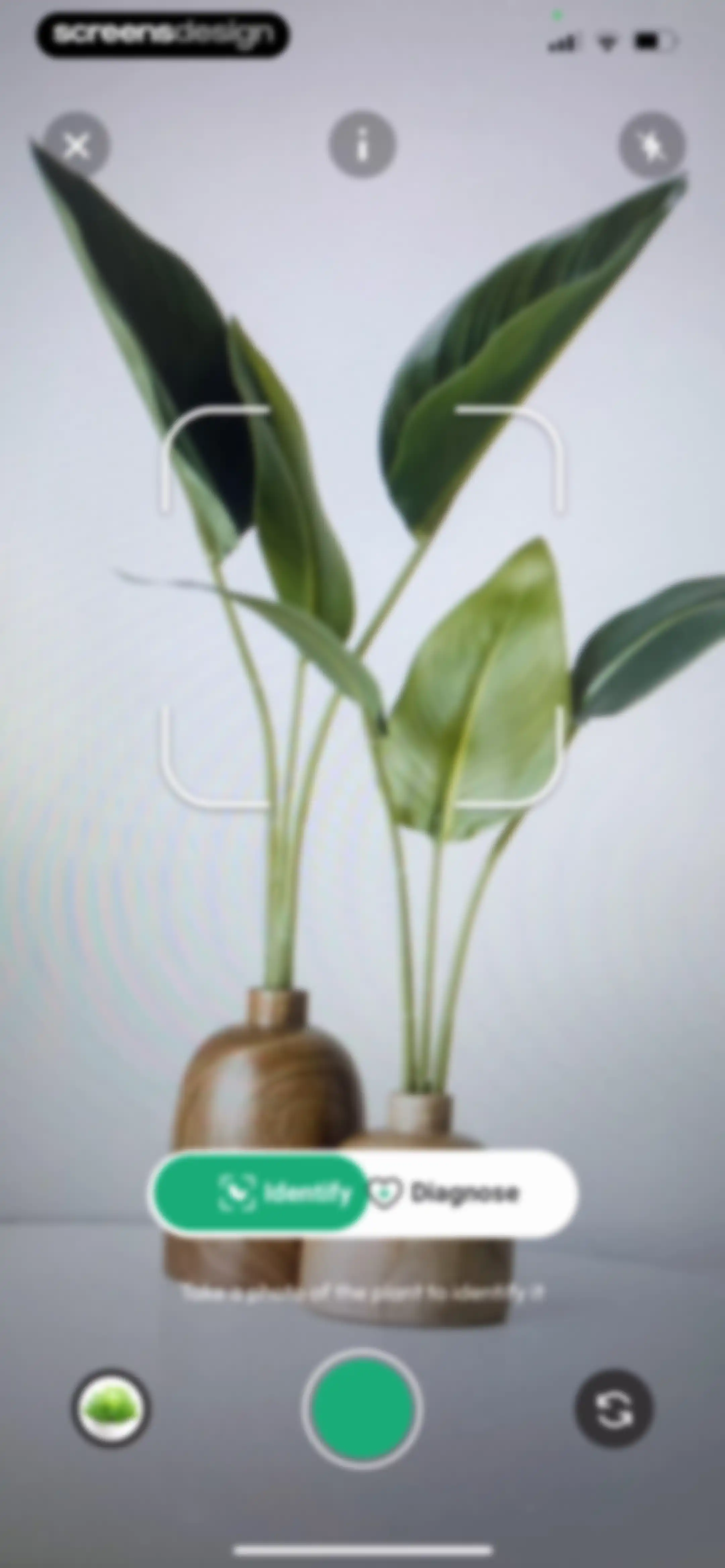 PlantDaily: AI Plant Care screen 60