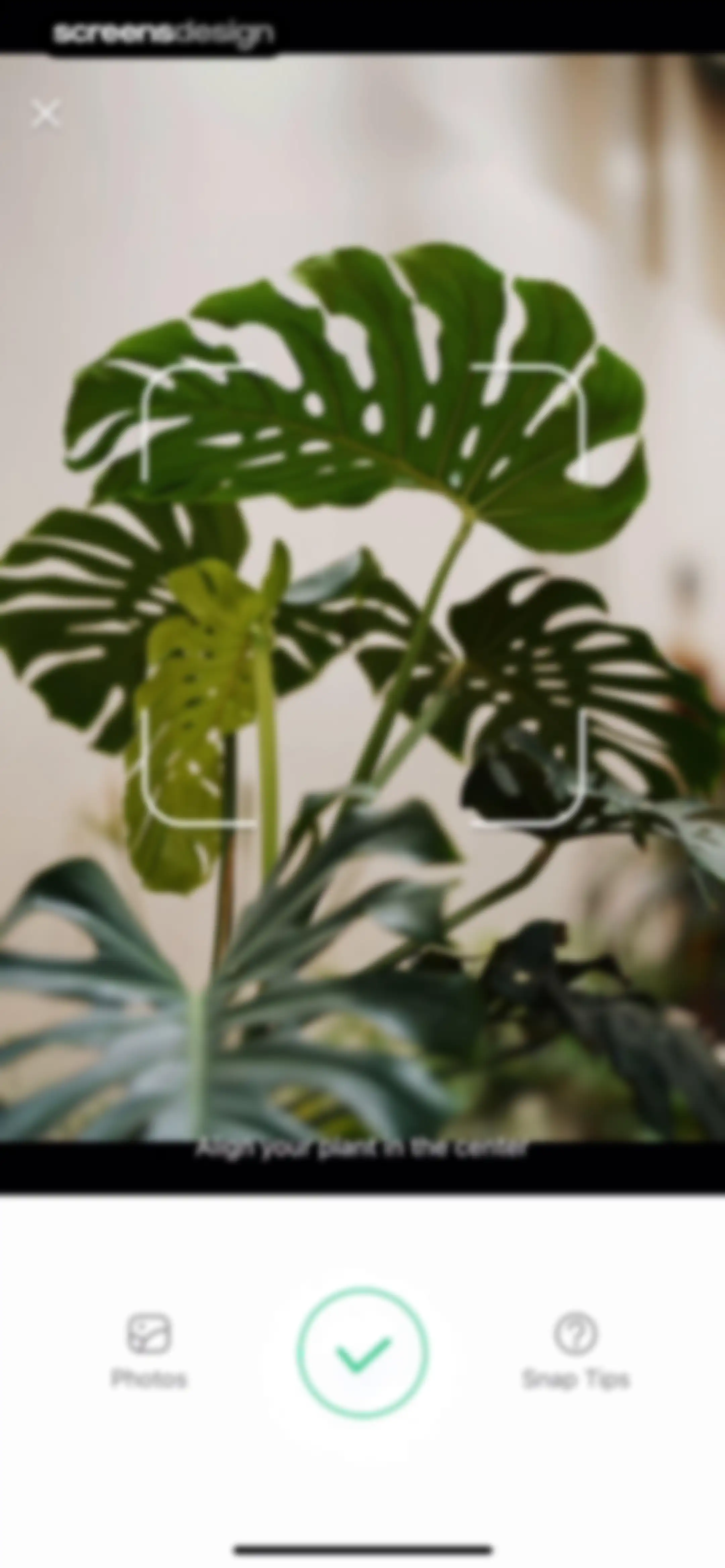 Plant Parent: Plant Care Guide screen 45