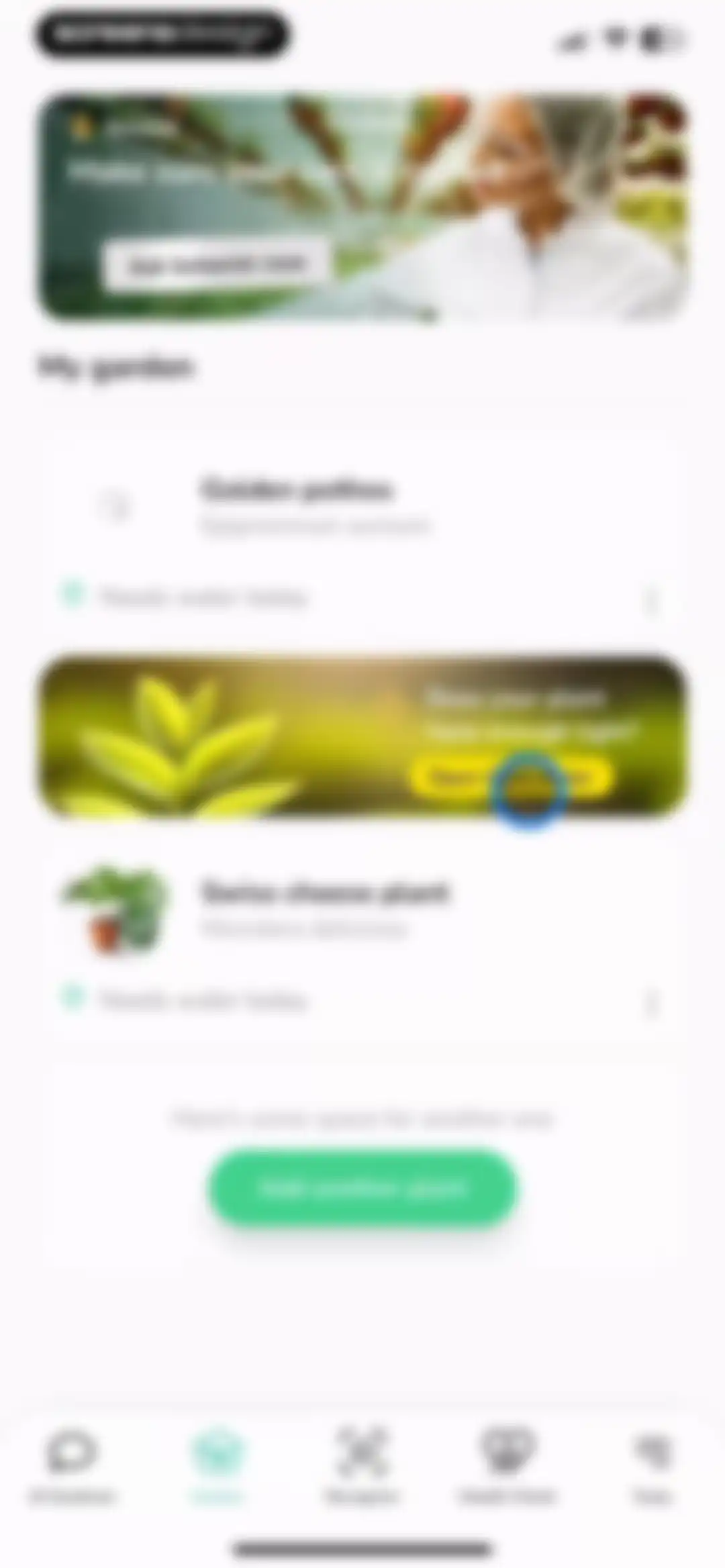 Plant Identifier - PlantMe screen 22
