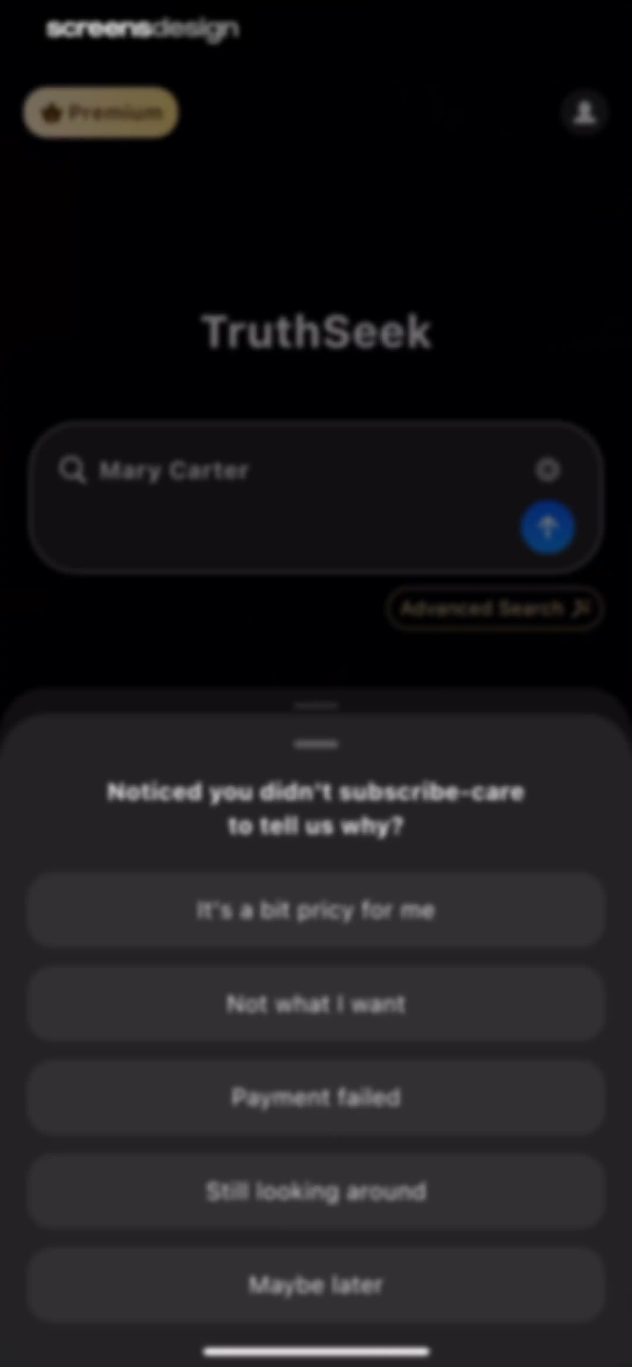 Truthseek：AI Deepsearch screen 19