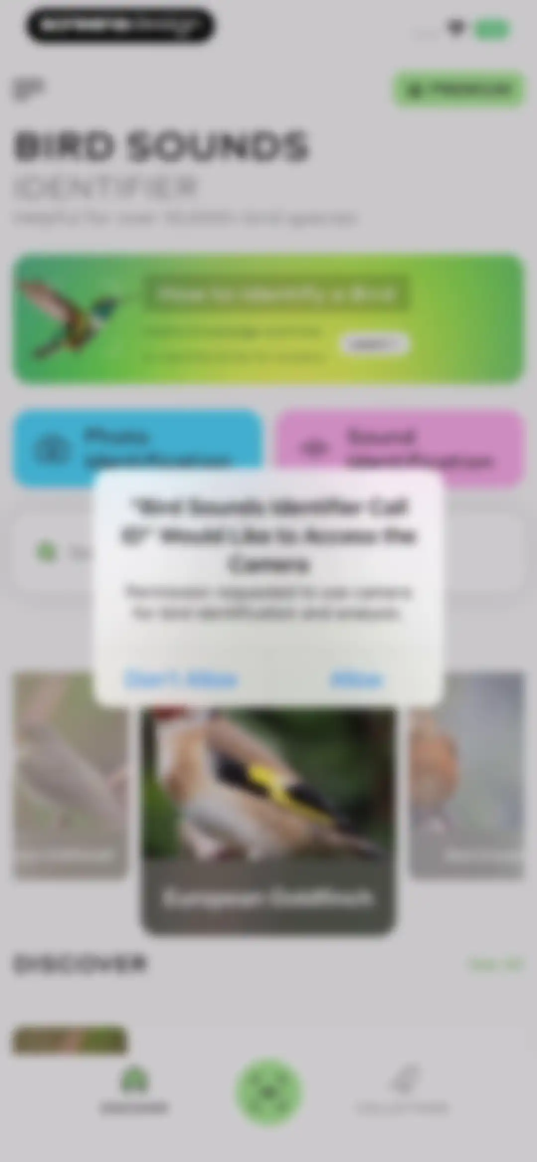 Bird Sounds Identifier Call ID screen 9