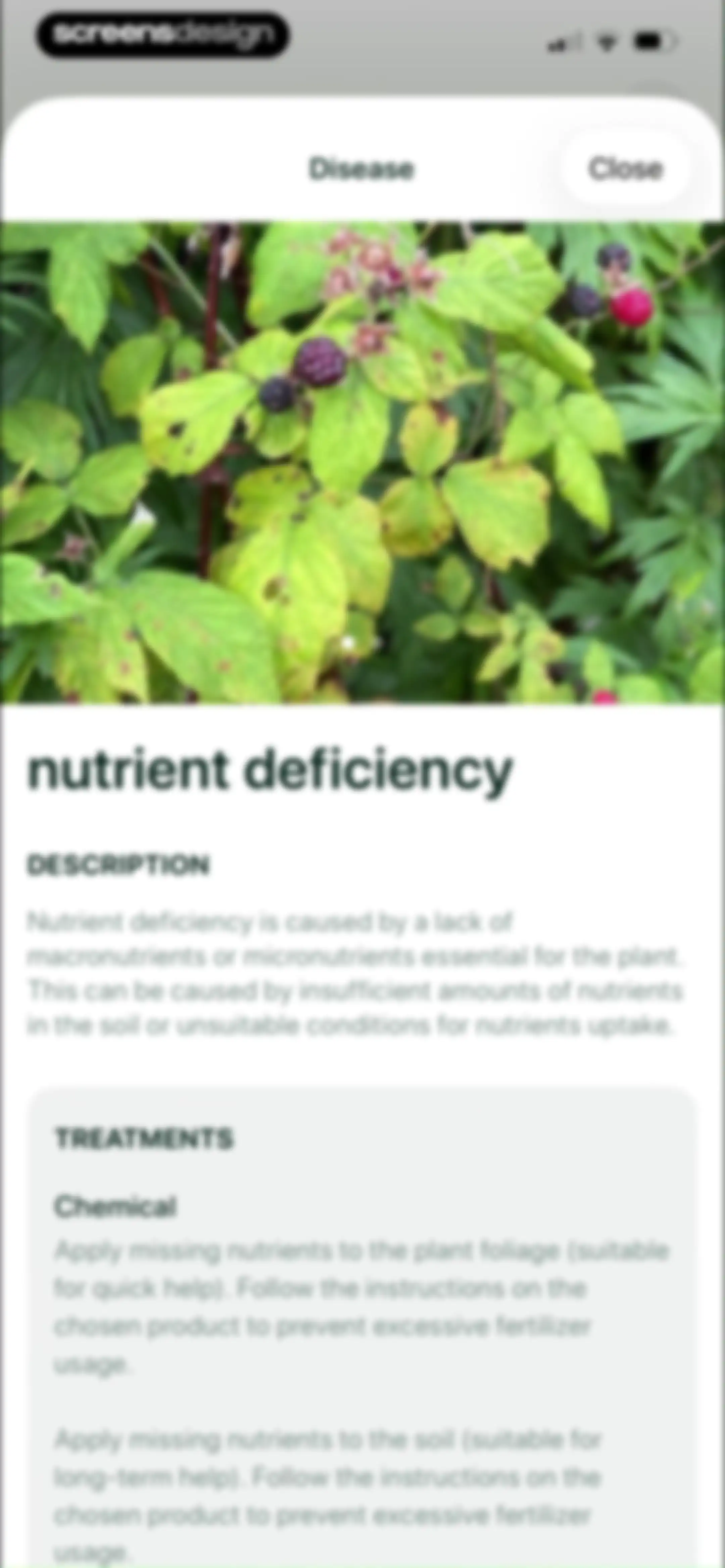 Planto: Plant Identifier screen 29