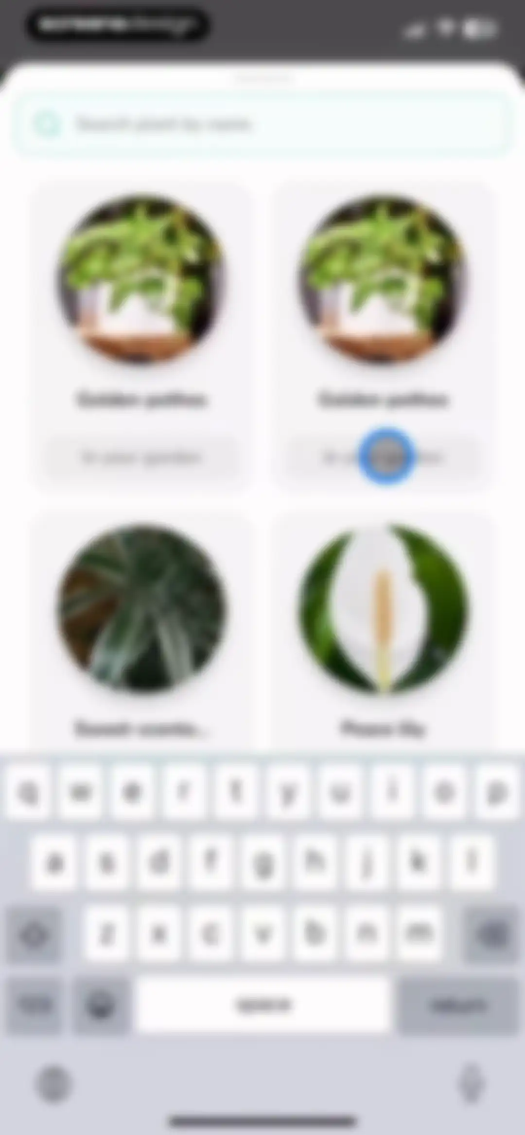 Plant Identifier - PlantMe screen 38