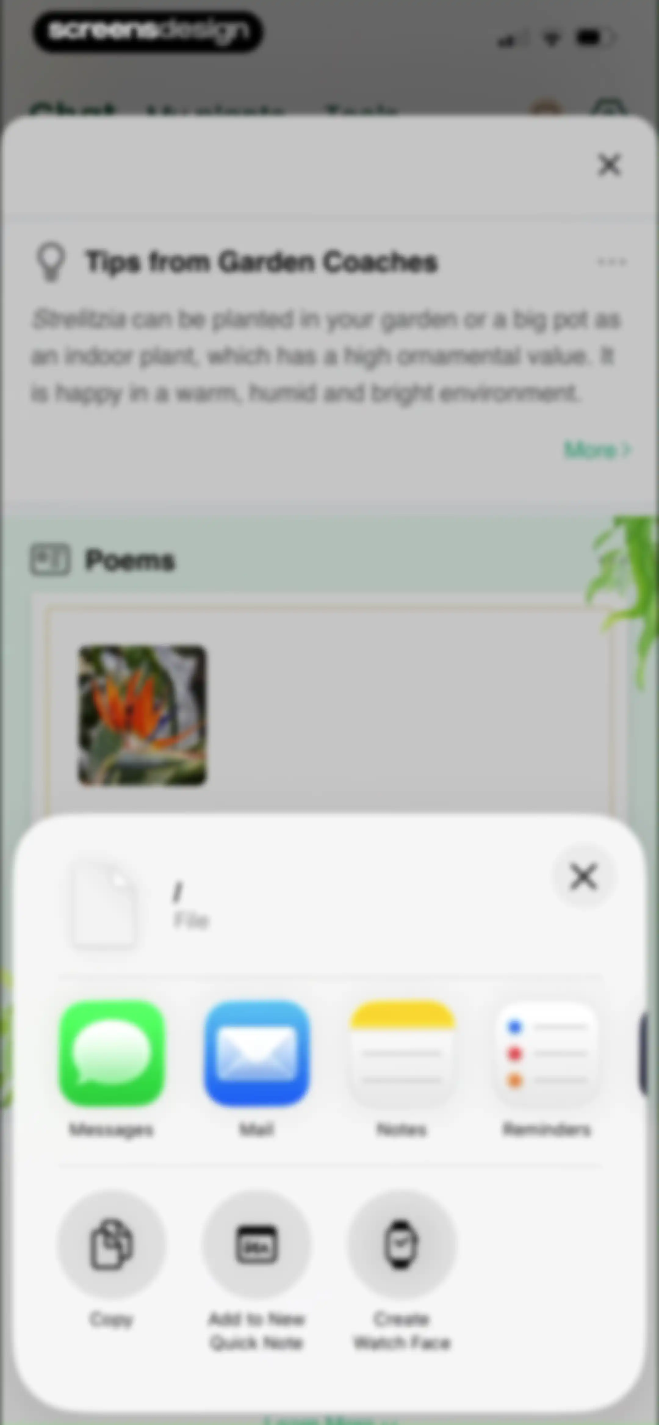 PlantAI: Identifier & Diagnose screen 31