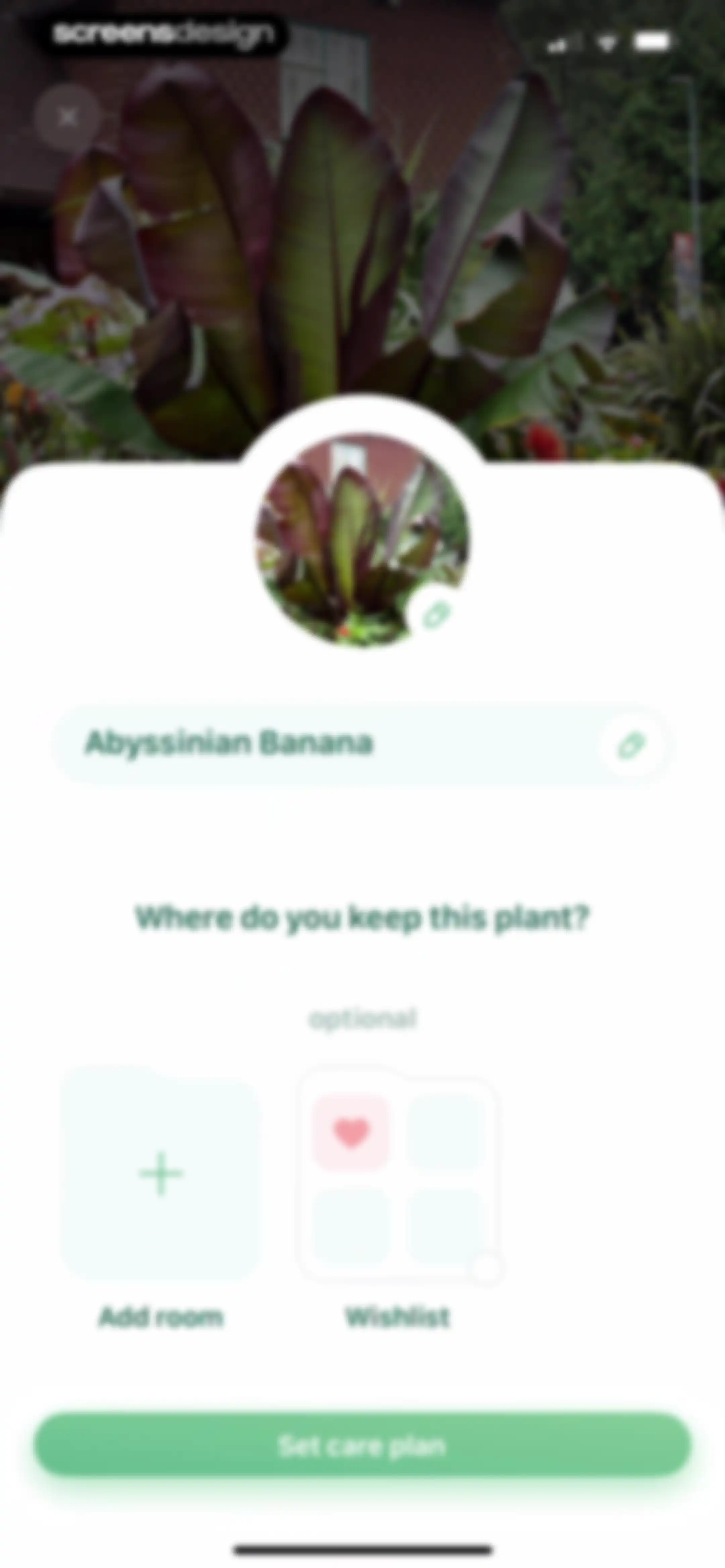 Blossom - Plant Care Guide screen 34