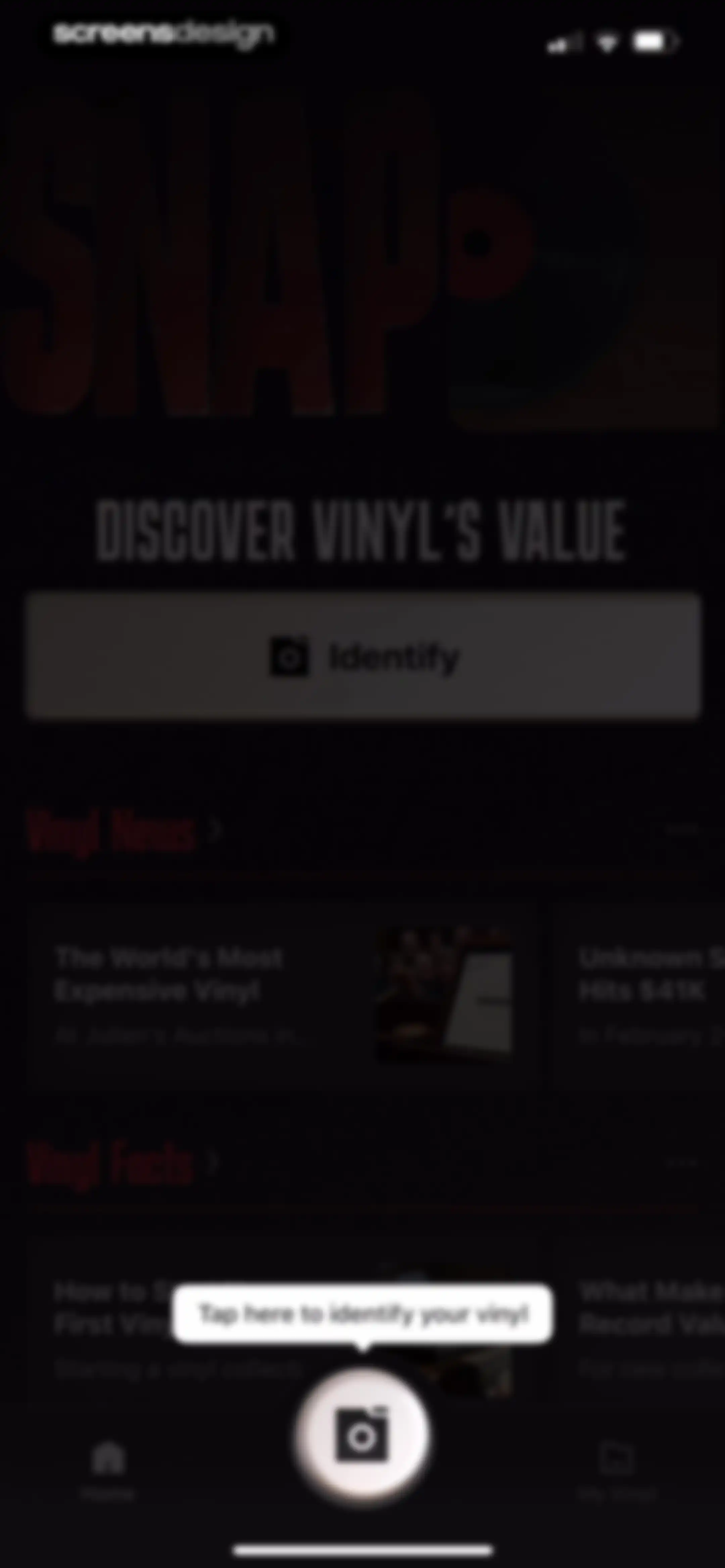 VinylSnap: Scan & Value Record screen 14