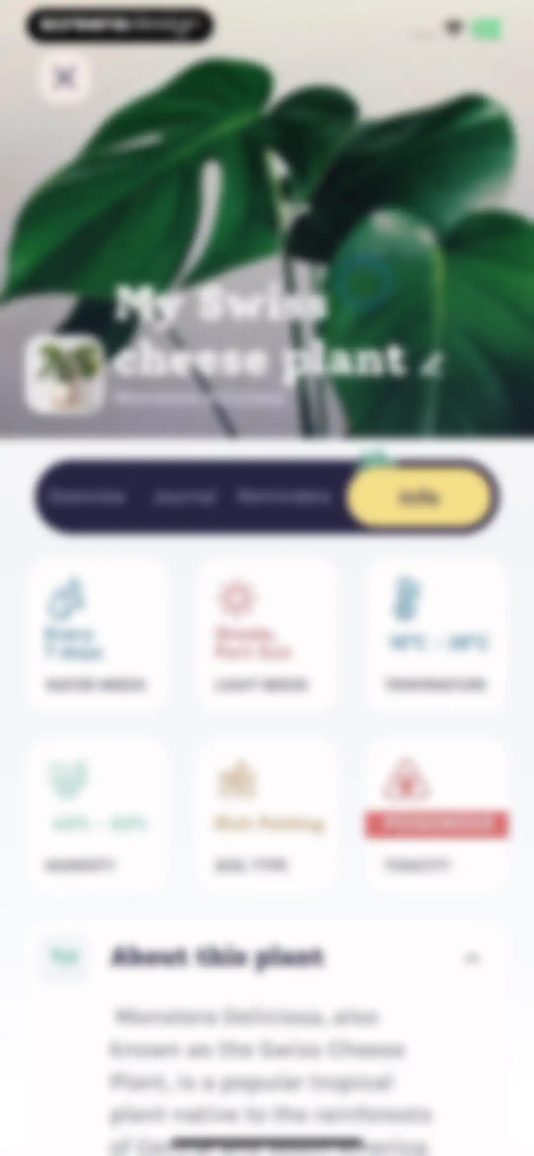 Plant Identifier, Care: Planty screen 83