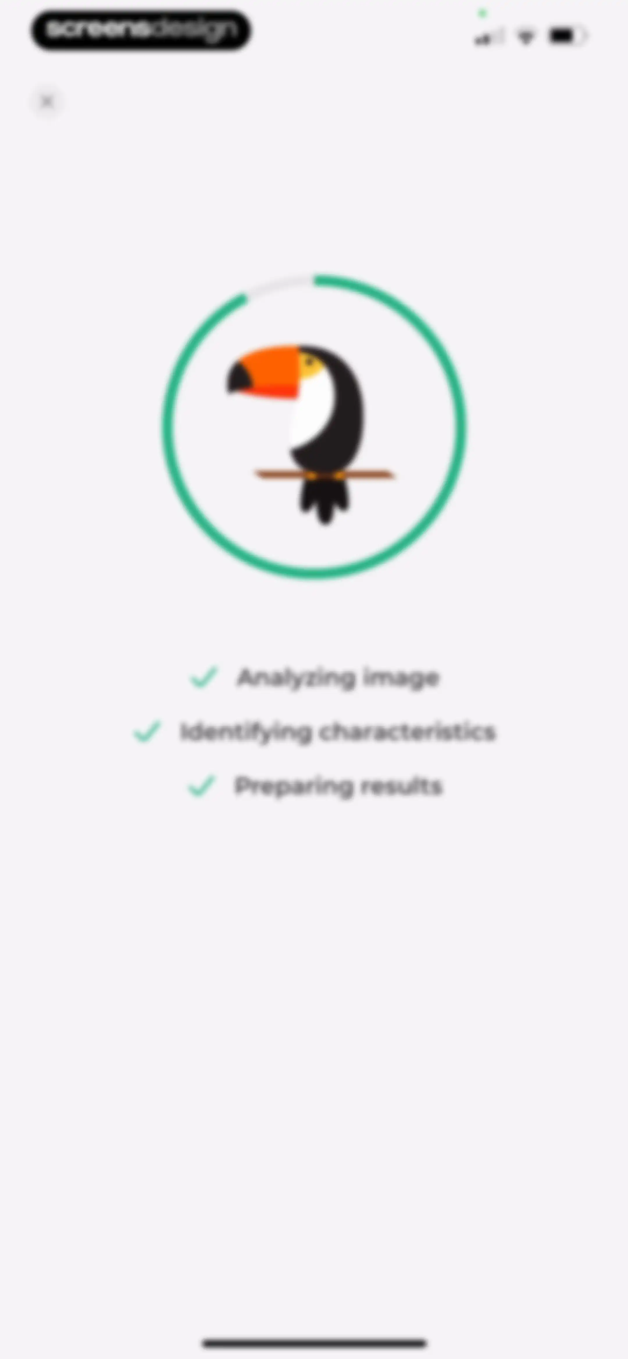 Bird Identifier: BirdScope screen 63