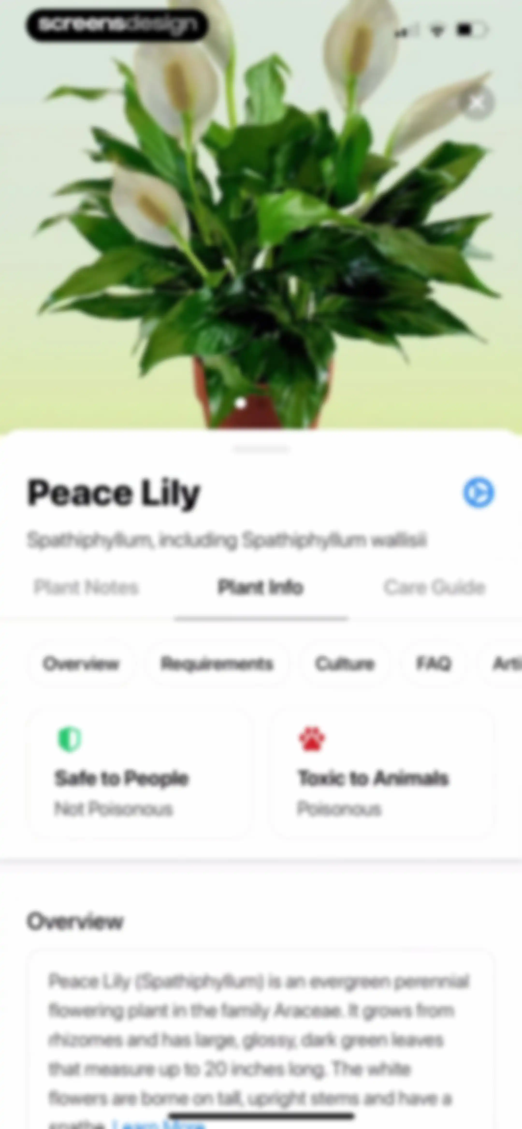 Plant App: Plant Identifier screen 101