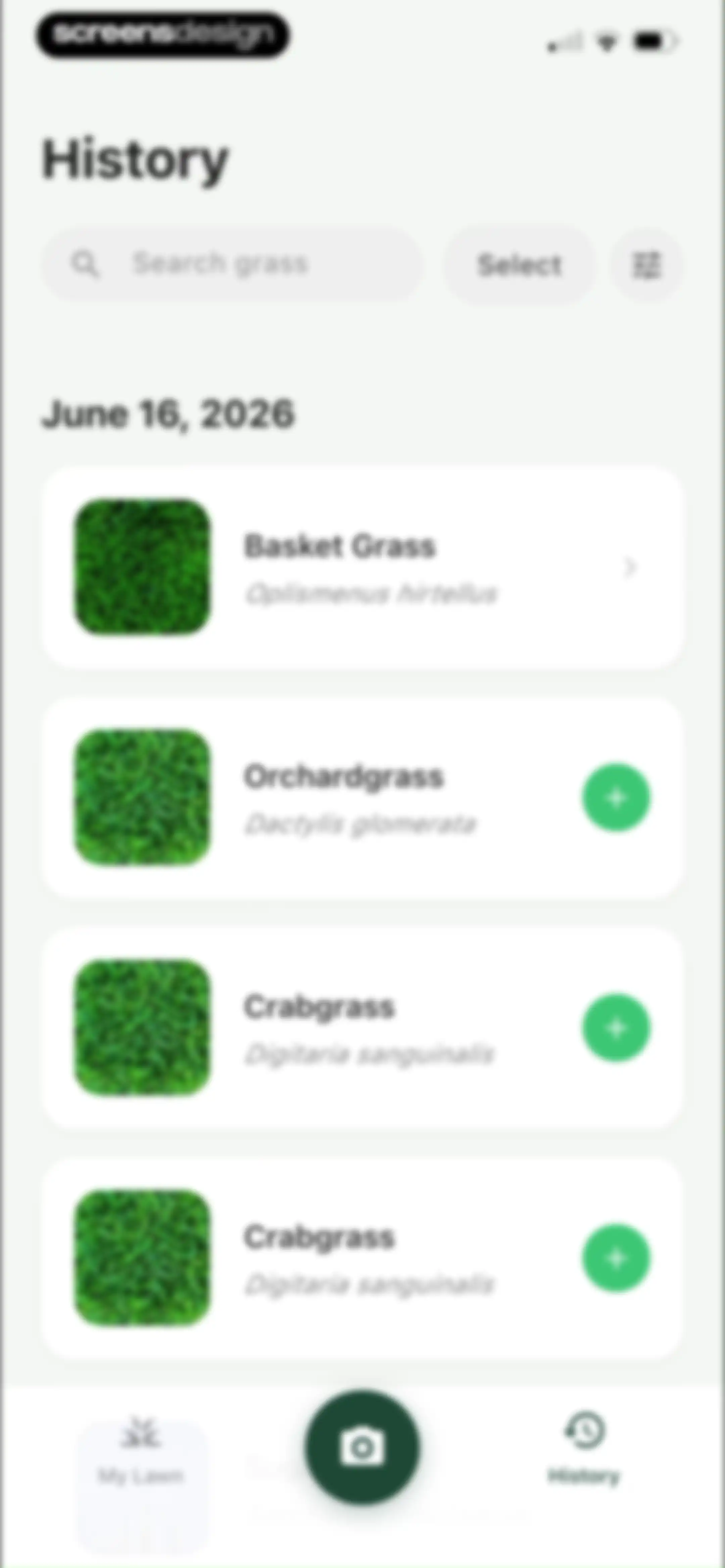 Grass Identifier: AI Scan screen 50