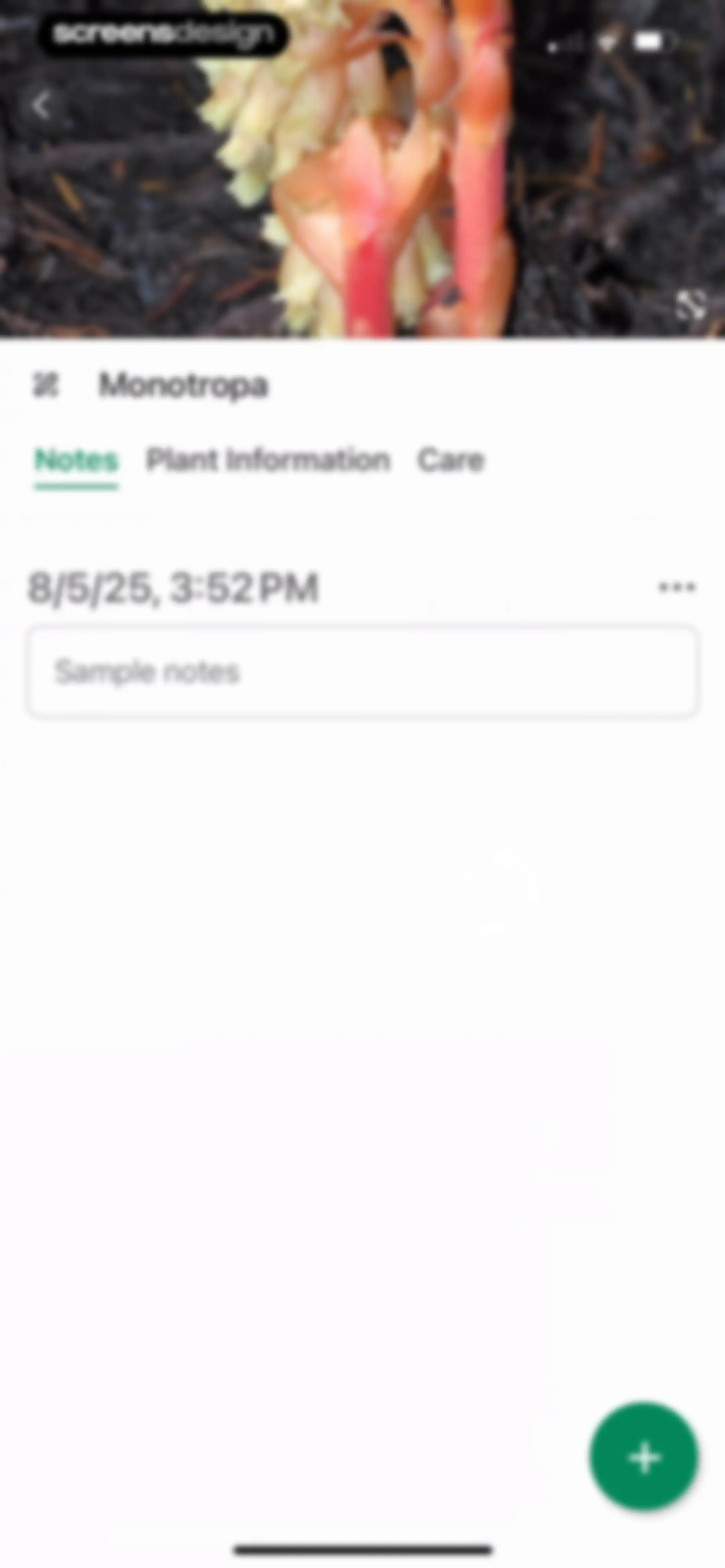 Identify My Plant Now screen 78