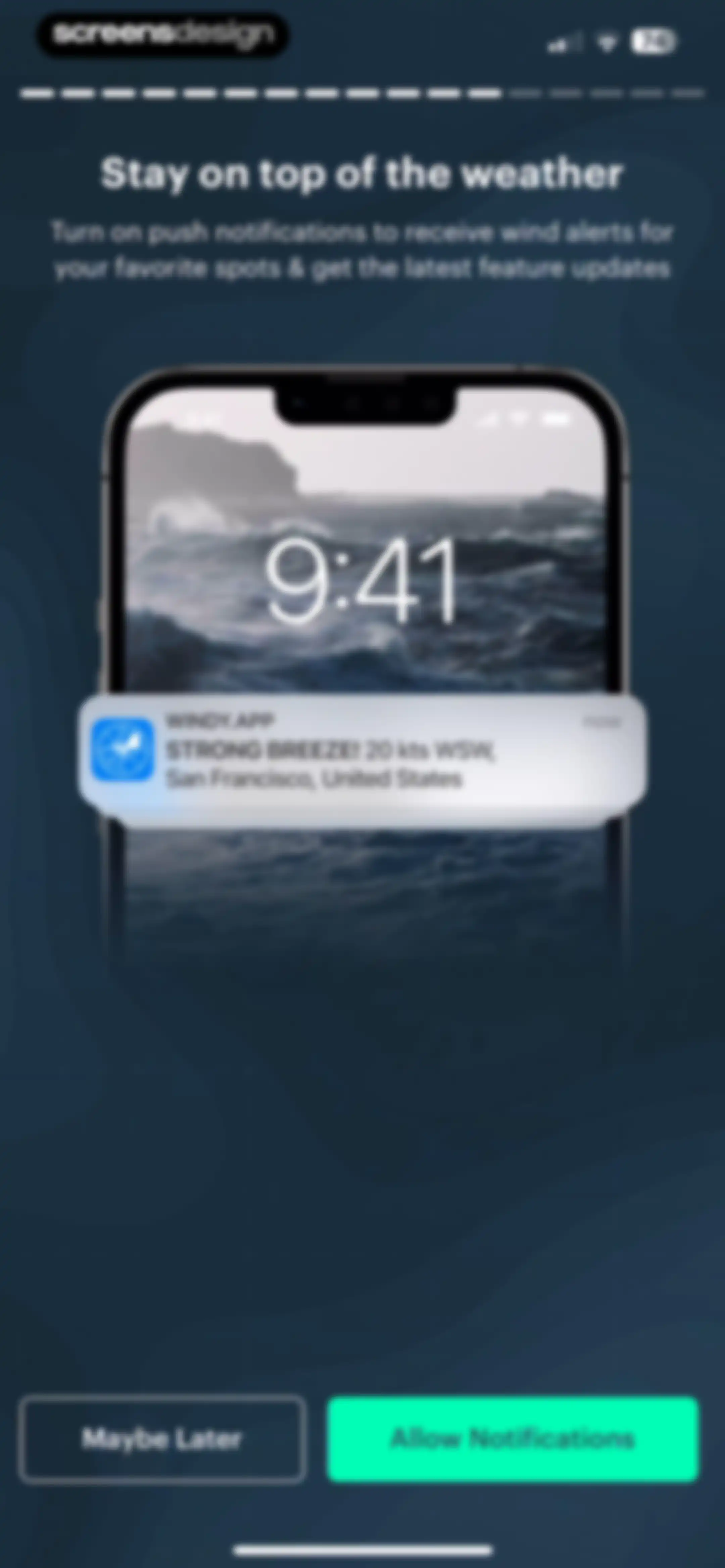 Windy.app — Wind, Tides, Radar screen 16