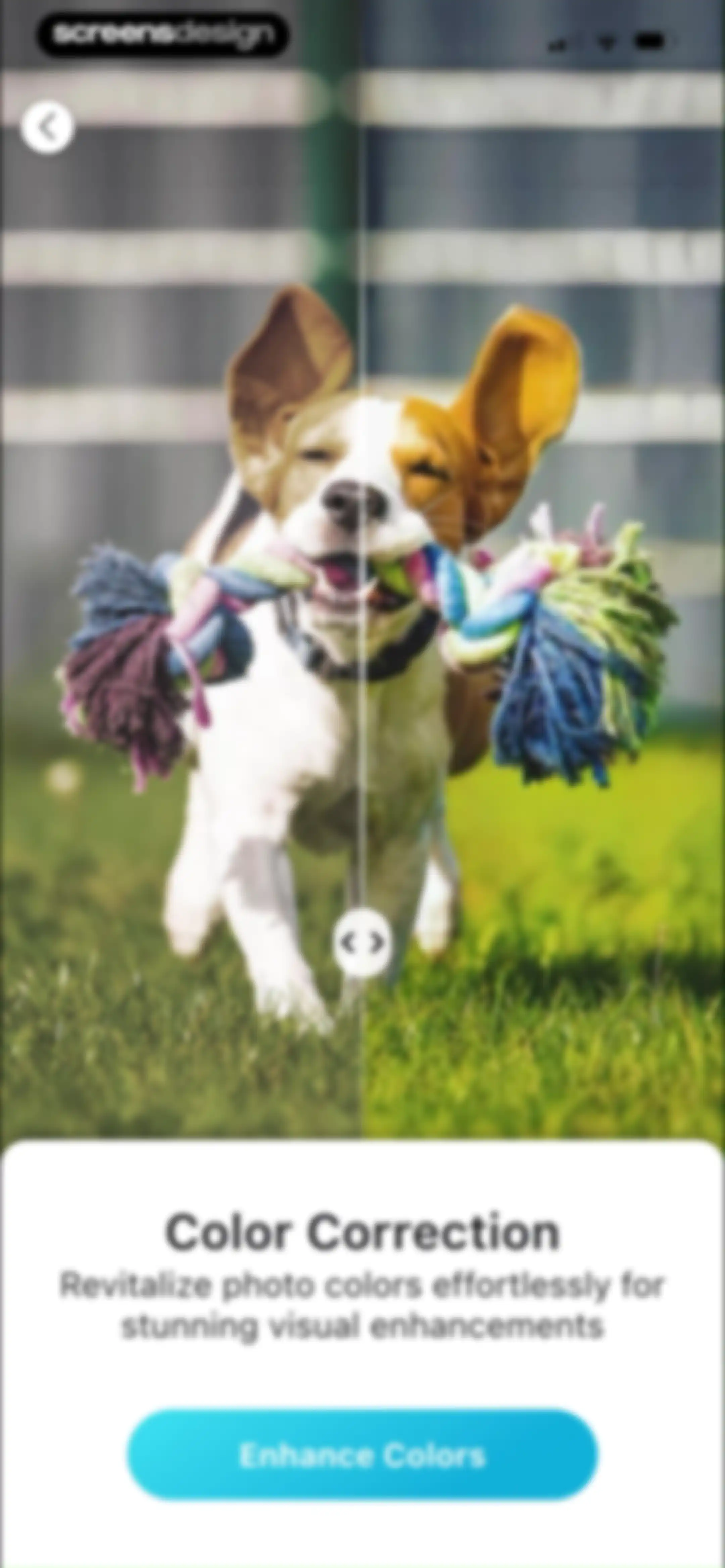YouCam Enhance: AI Photo&Video screen 114