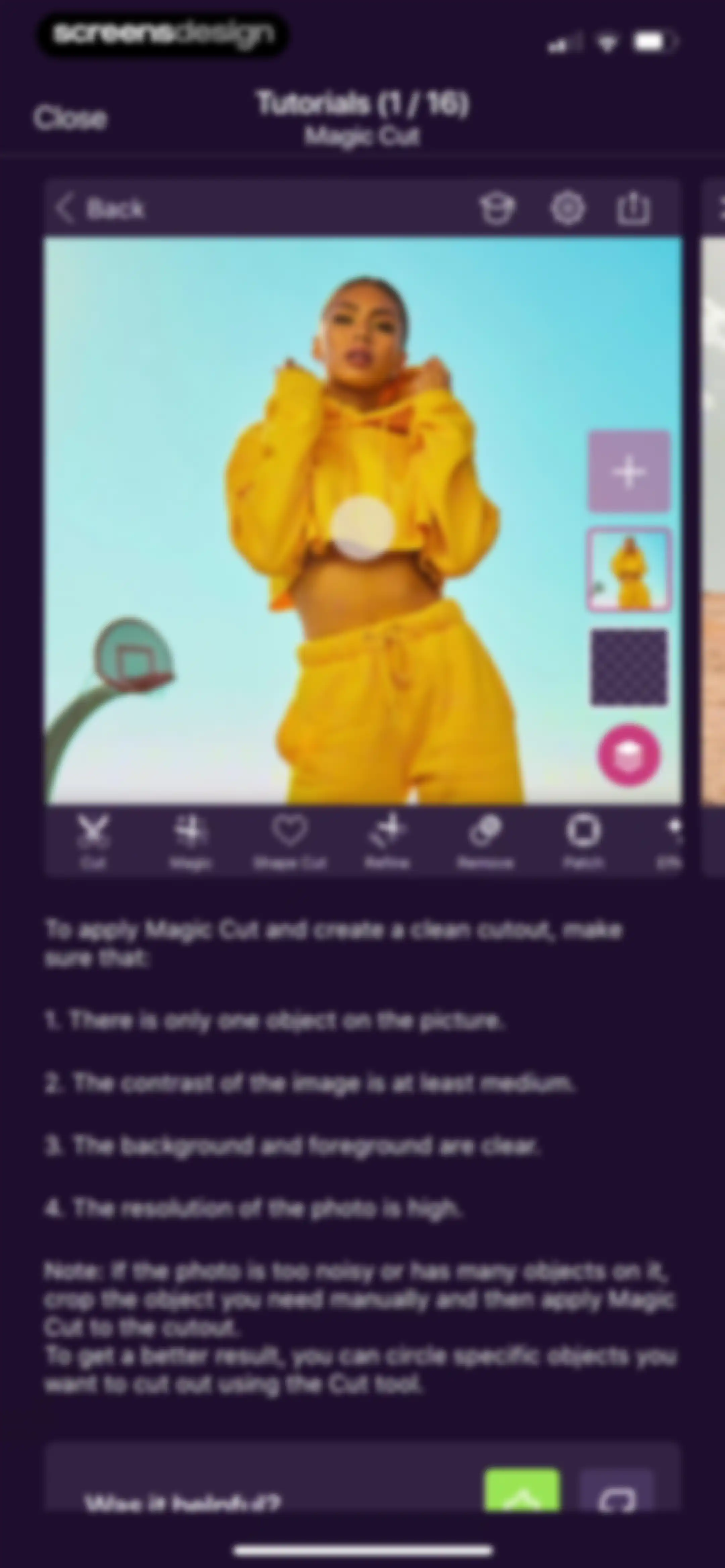 Pixomatic - AI Photo BG Eraser screen 145