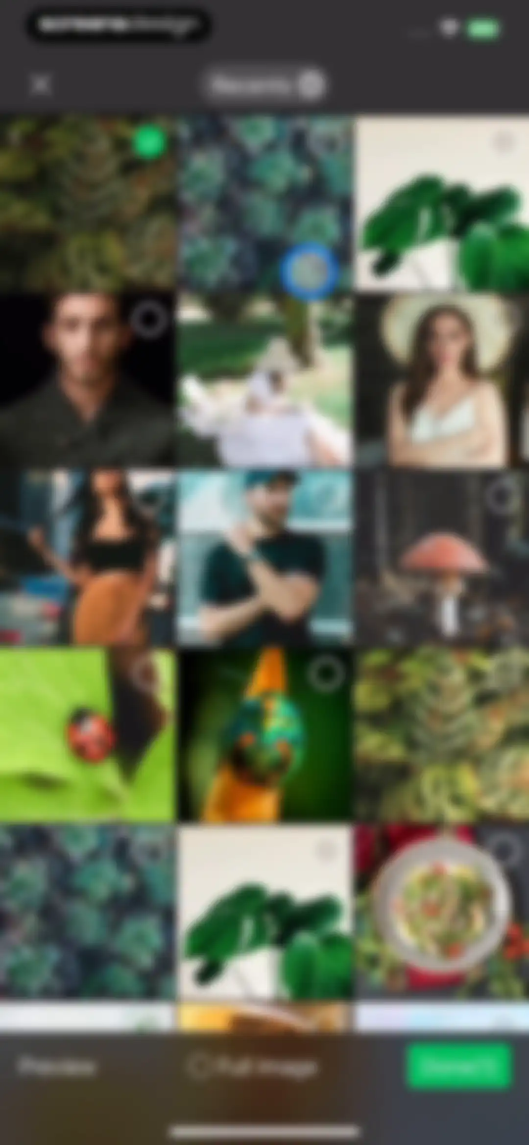 Plant Identification ++ screen 15