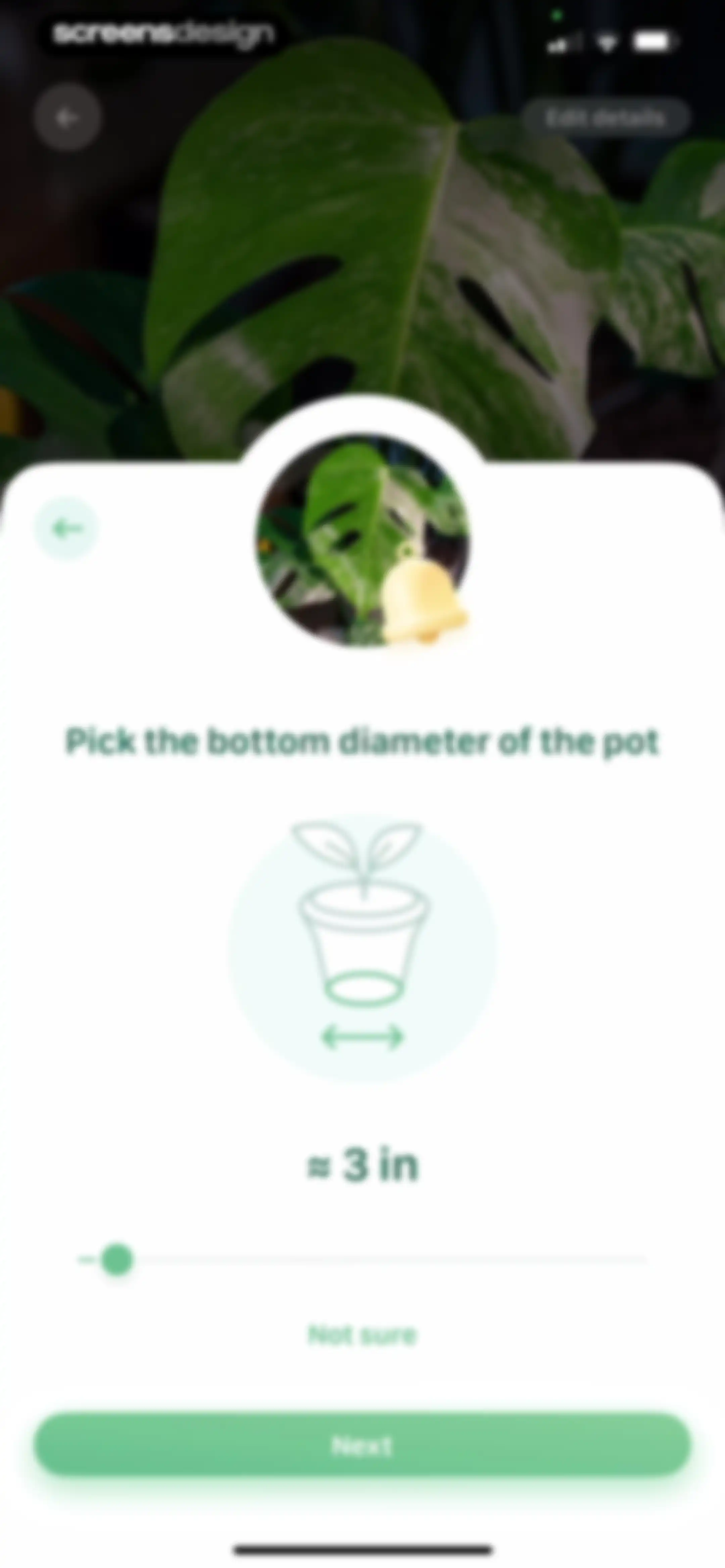 Blossom - Plant Care Guide screen 126