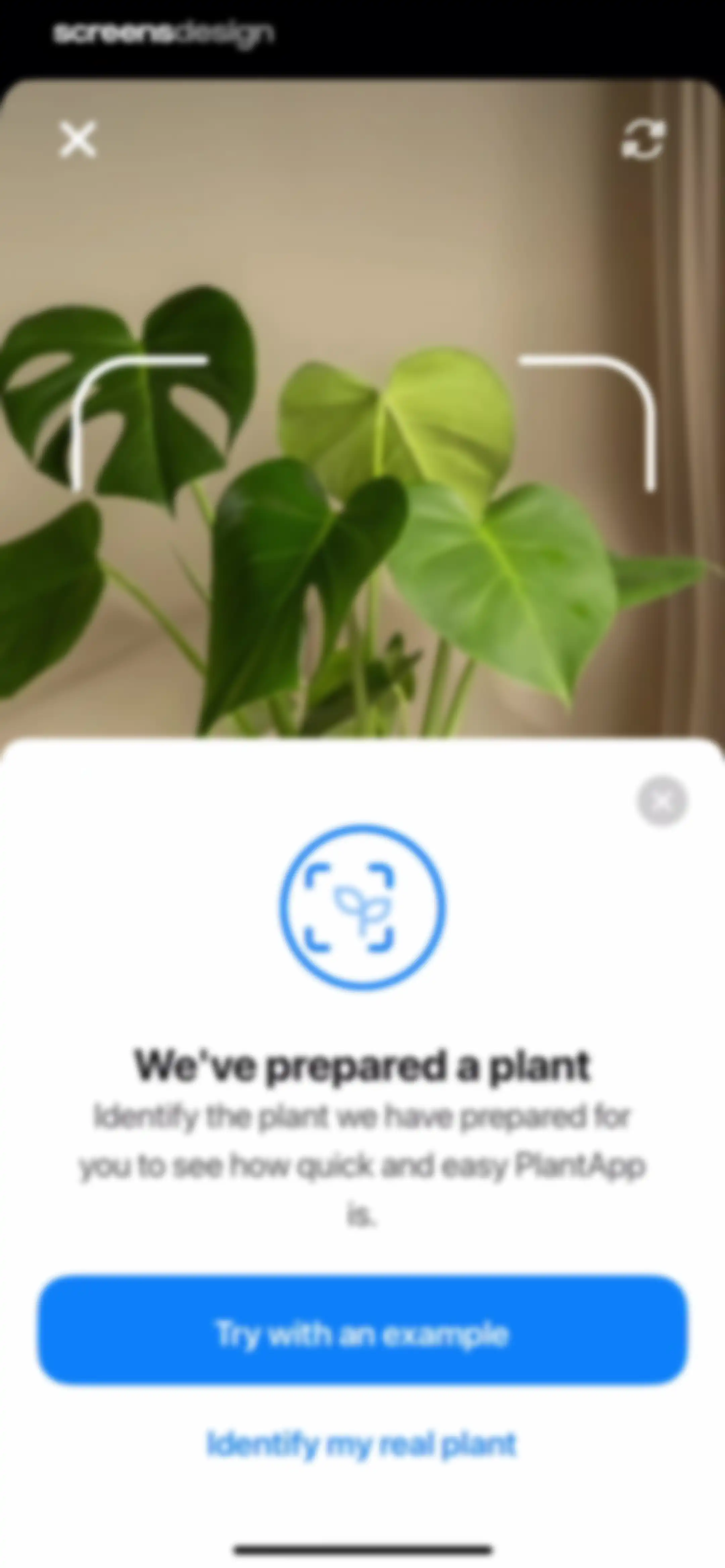Plant App: Plant Identifier screen 13