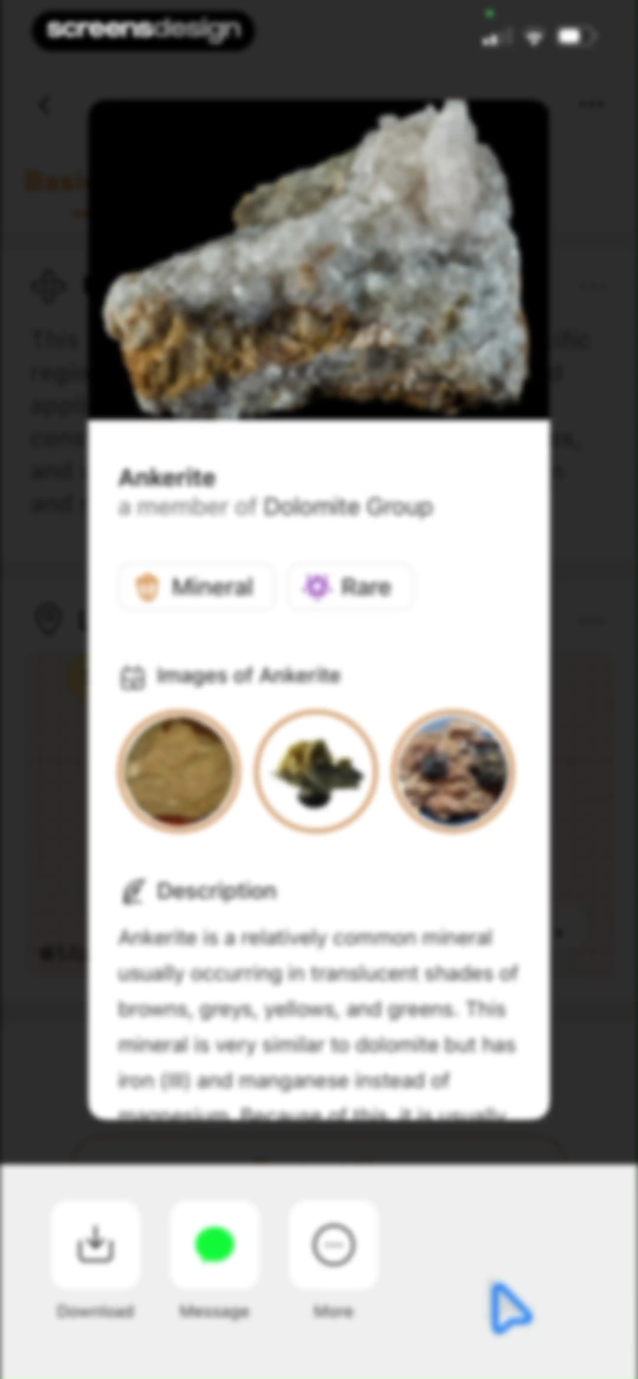 Rock Identifier: Stone ID screen 56