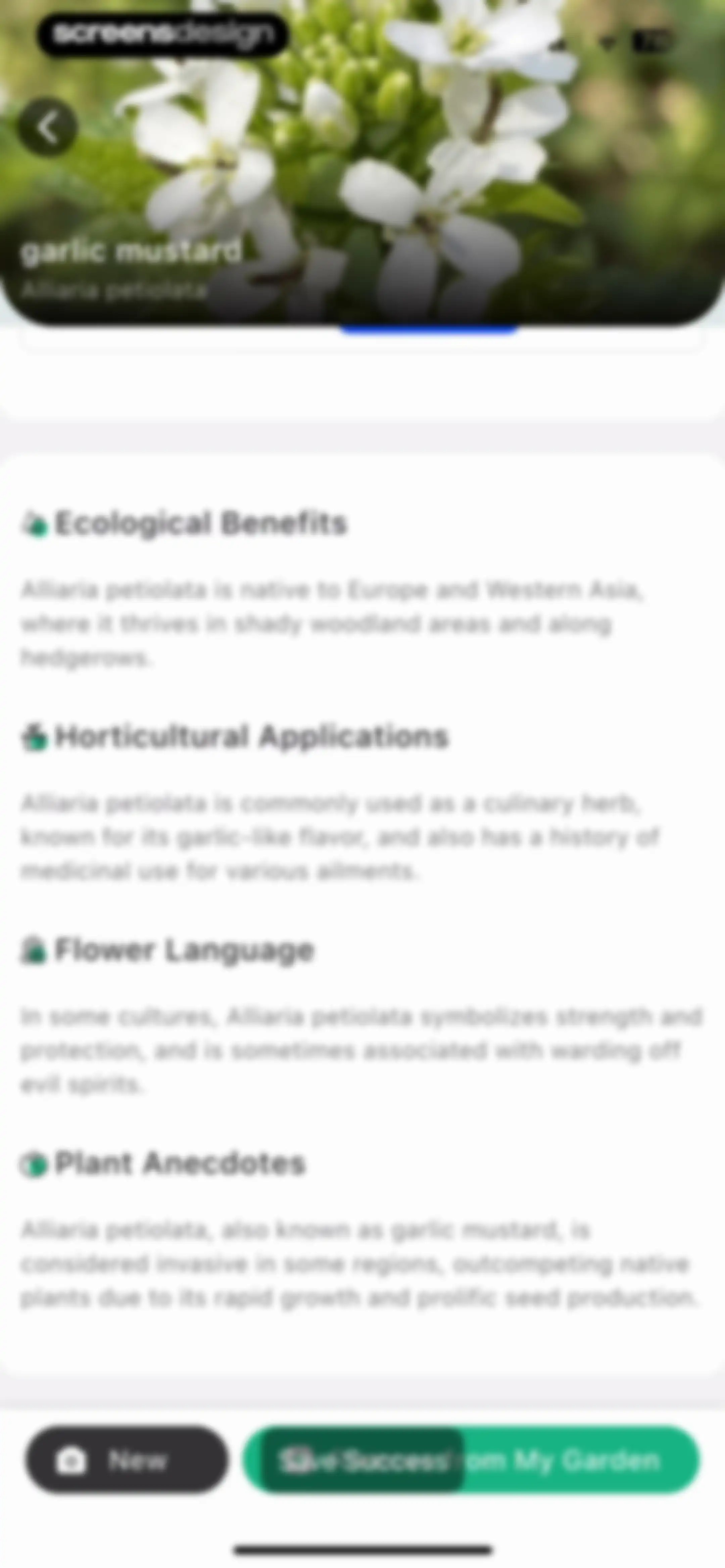 Plant Identifier: ChatPlant AI screen 36