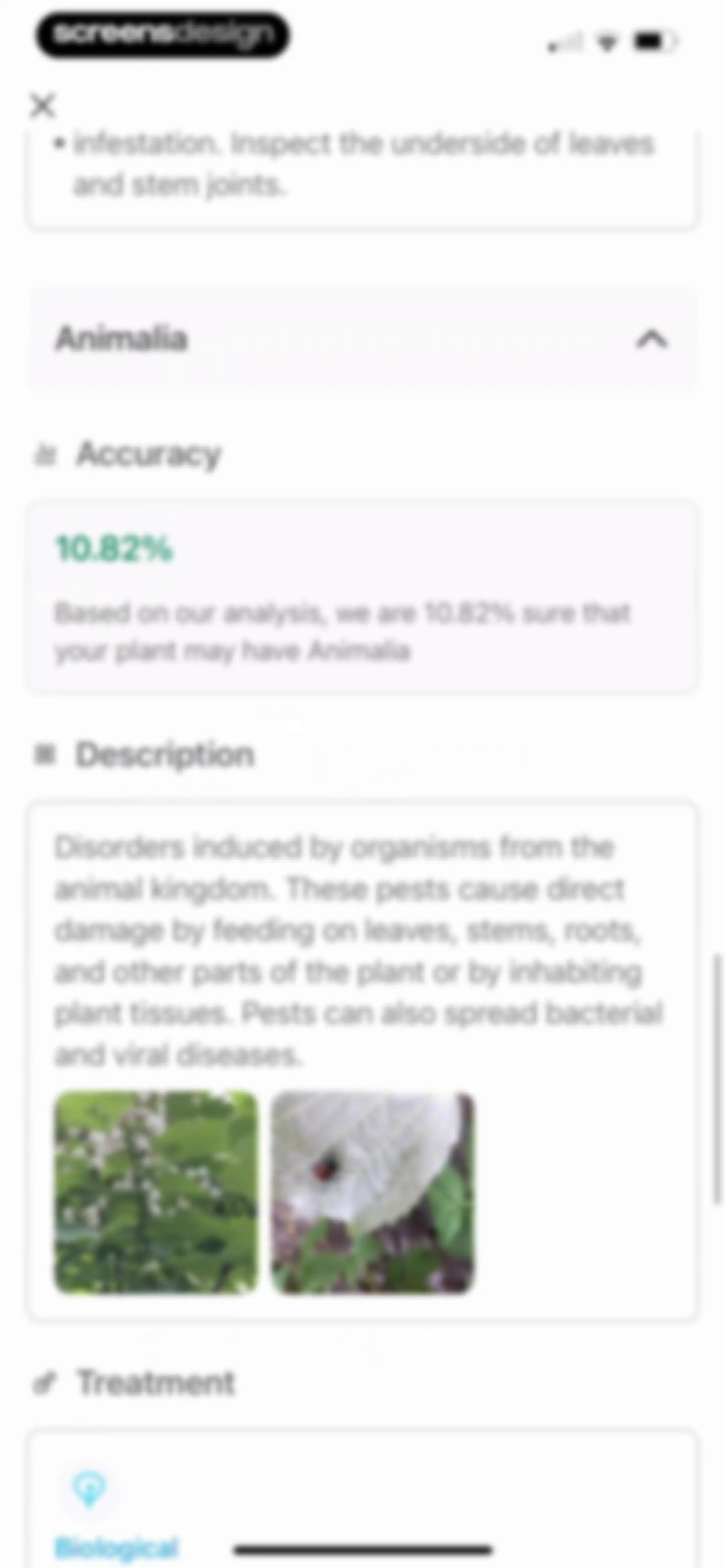 Identify My Plant Now screen 51