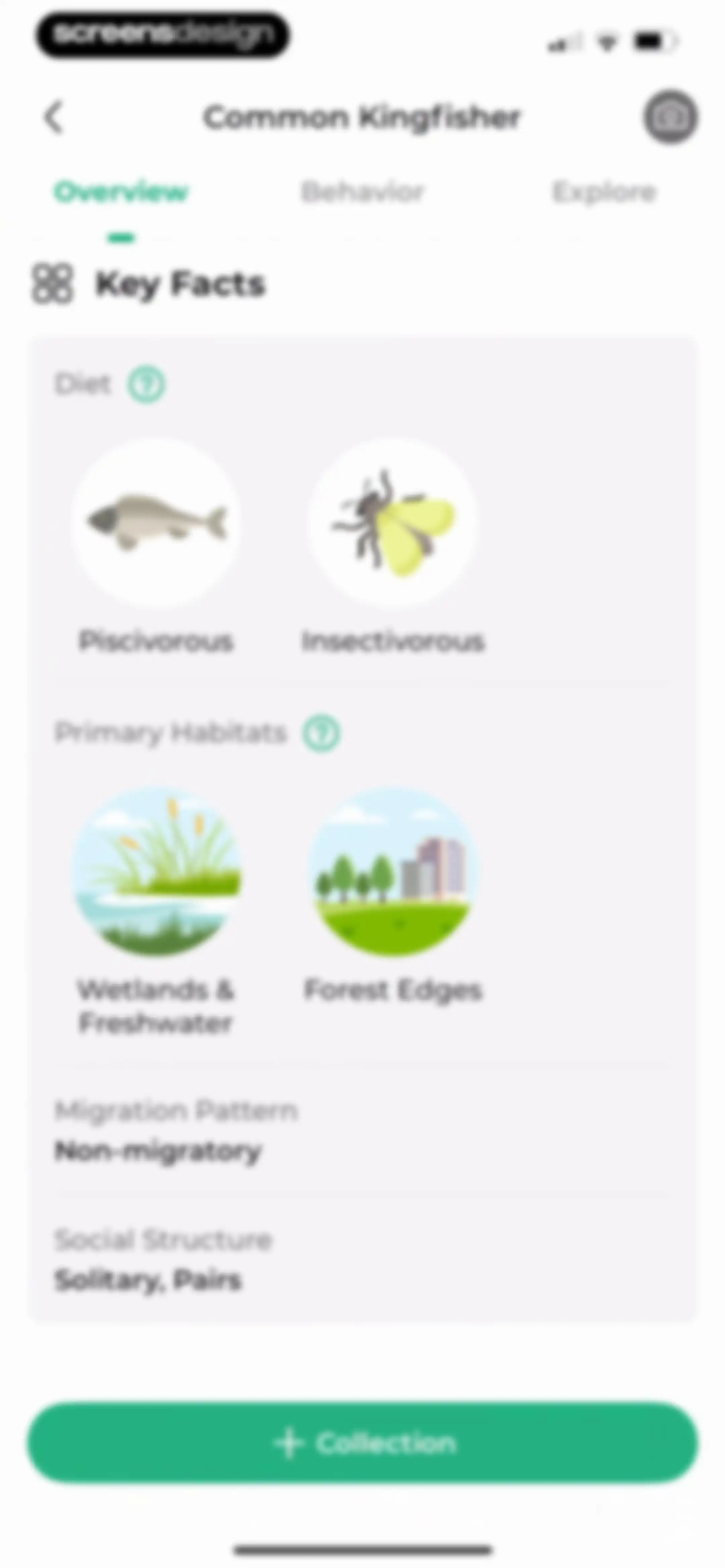 Bird Identifier: BirdScope screen 24