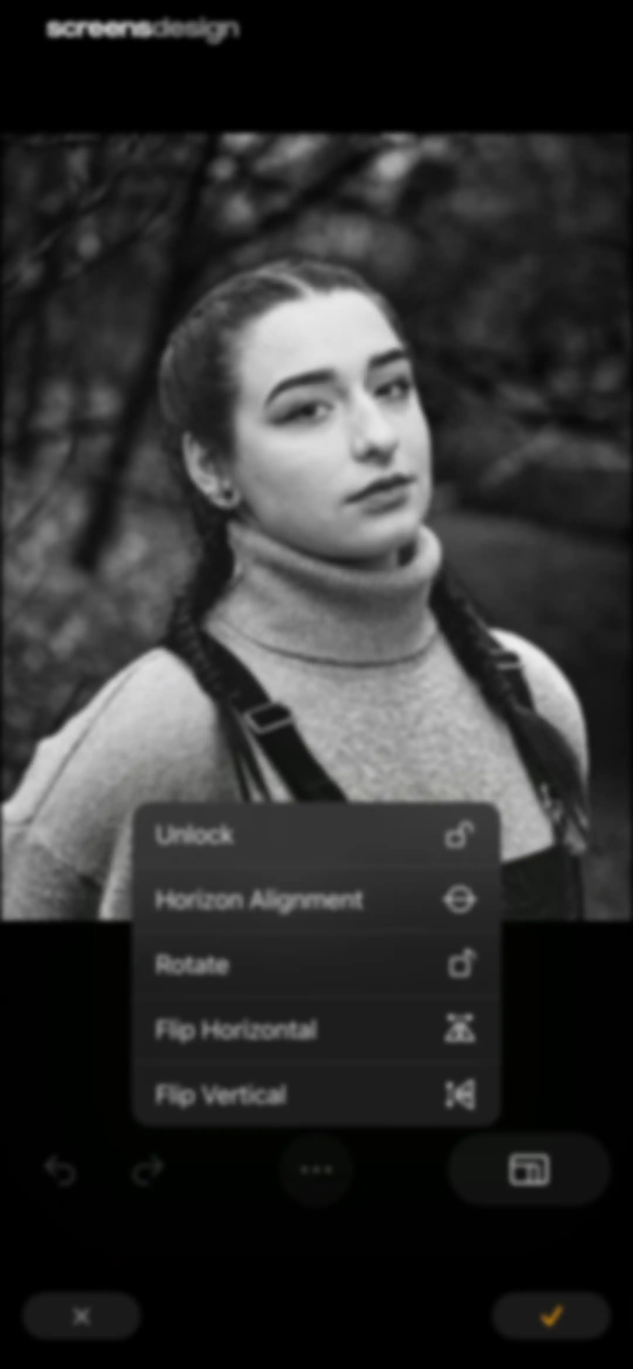 Luminar: Image Editor&Enhancer screen 40