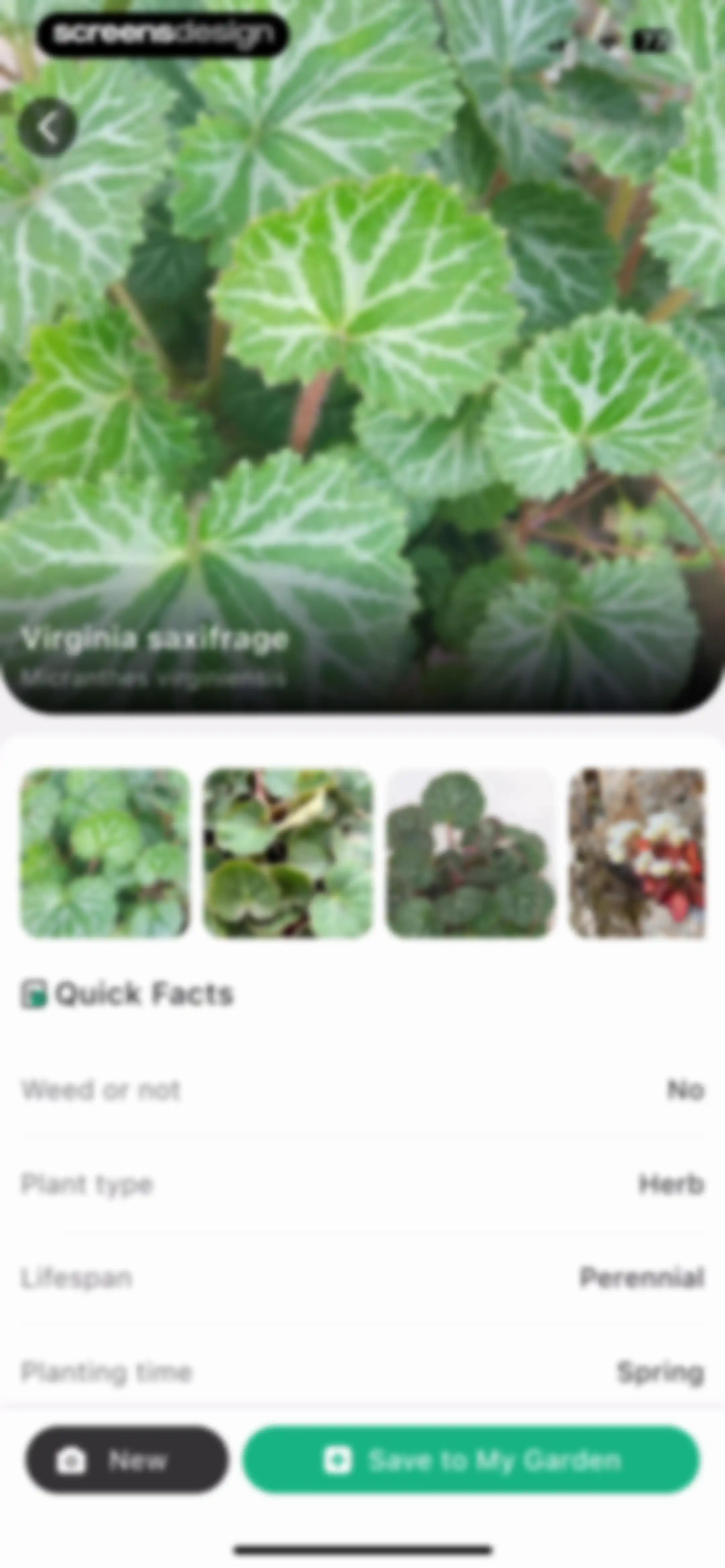 Plant Identifier: ChatPlant AI screen 63
