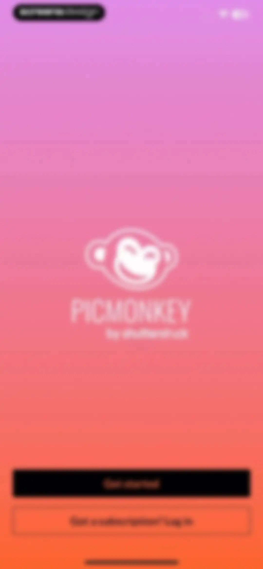 PicMonkey Photo + Video Design screen 4
