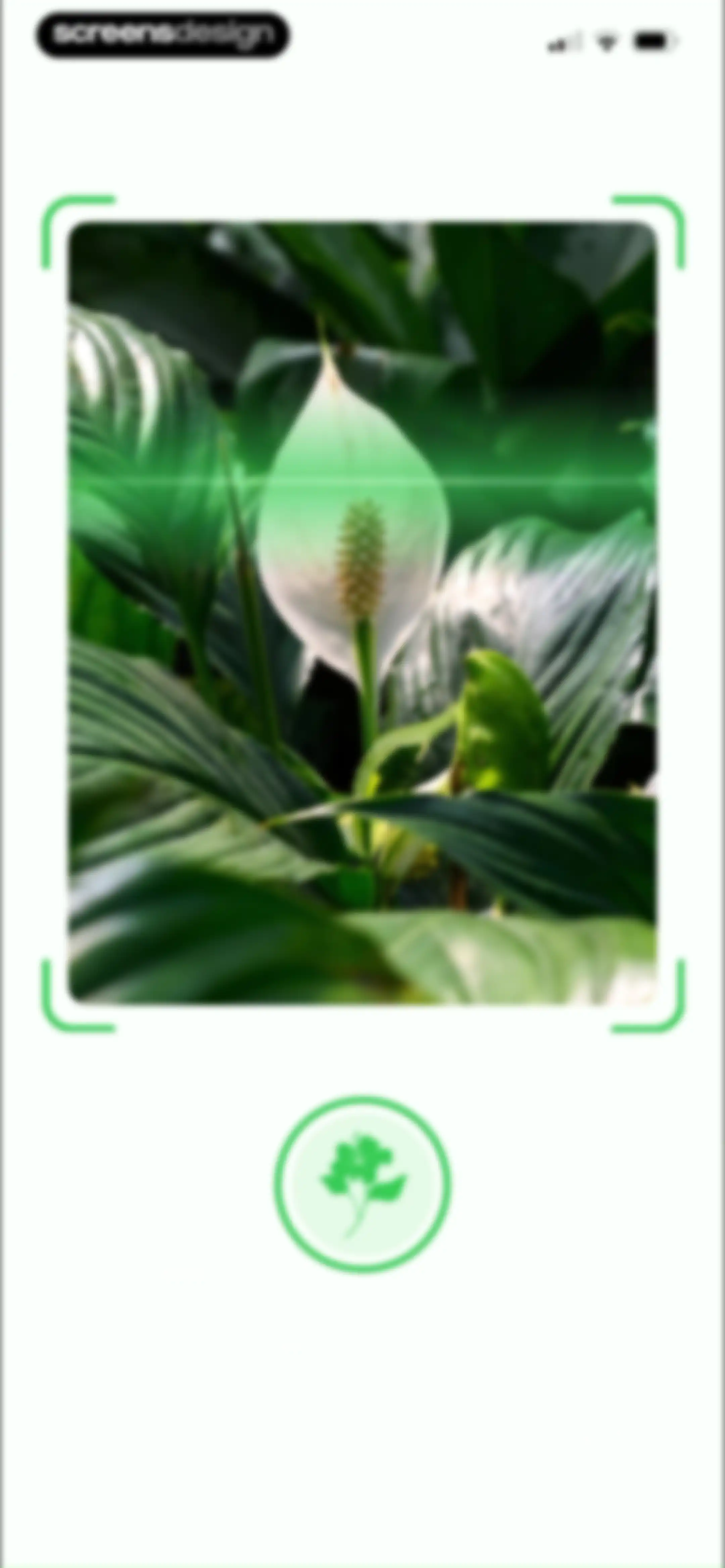 Plant Identifier & Plant Care. screen 15
