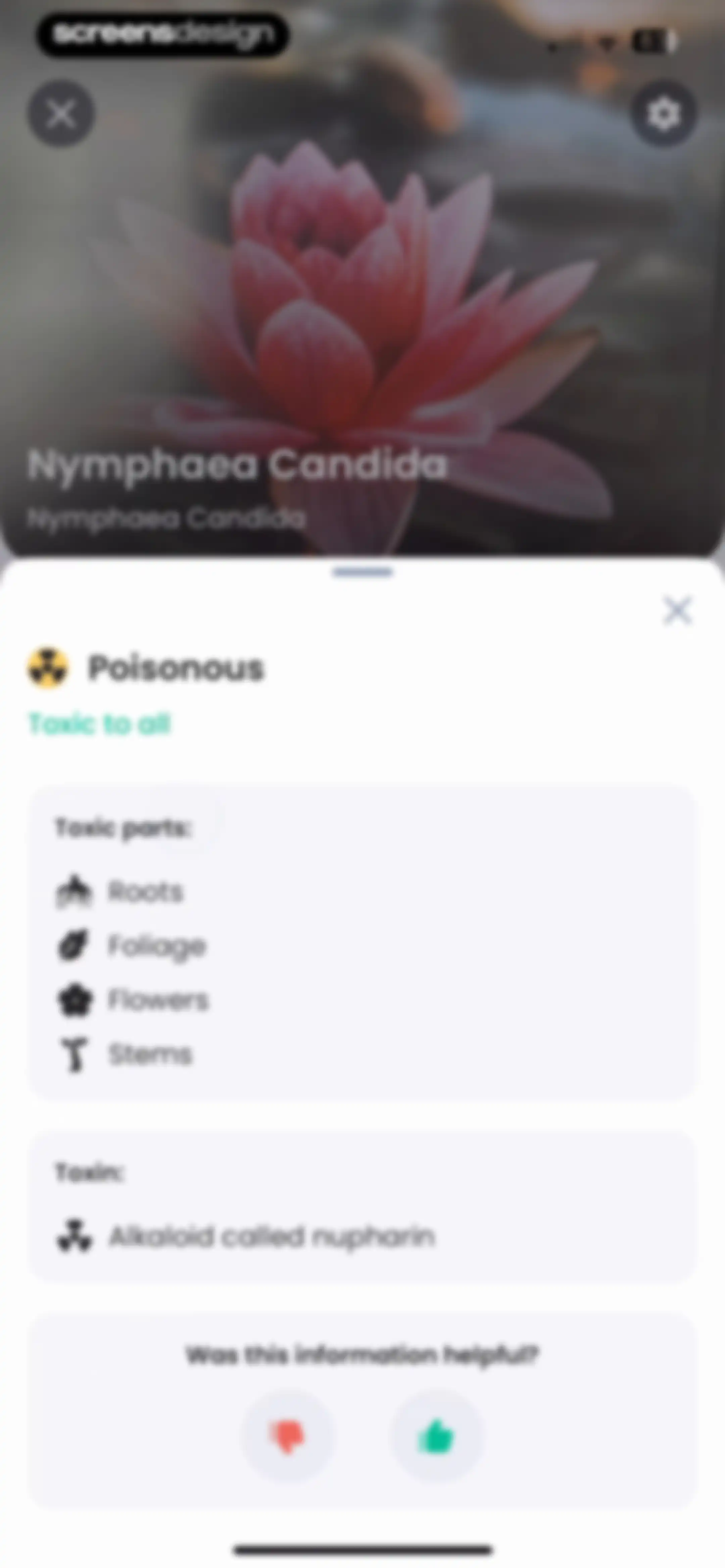 PlantIn: Plant Identifier・Care screen 37
