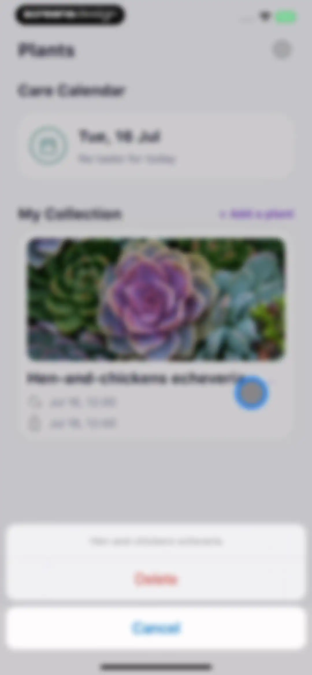 AI Plant Identifier・Care－Lily screen 40