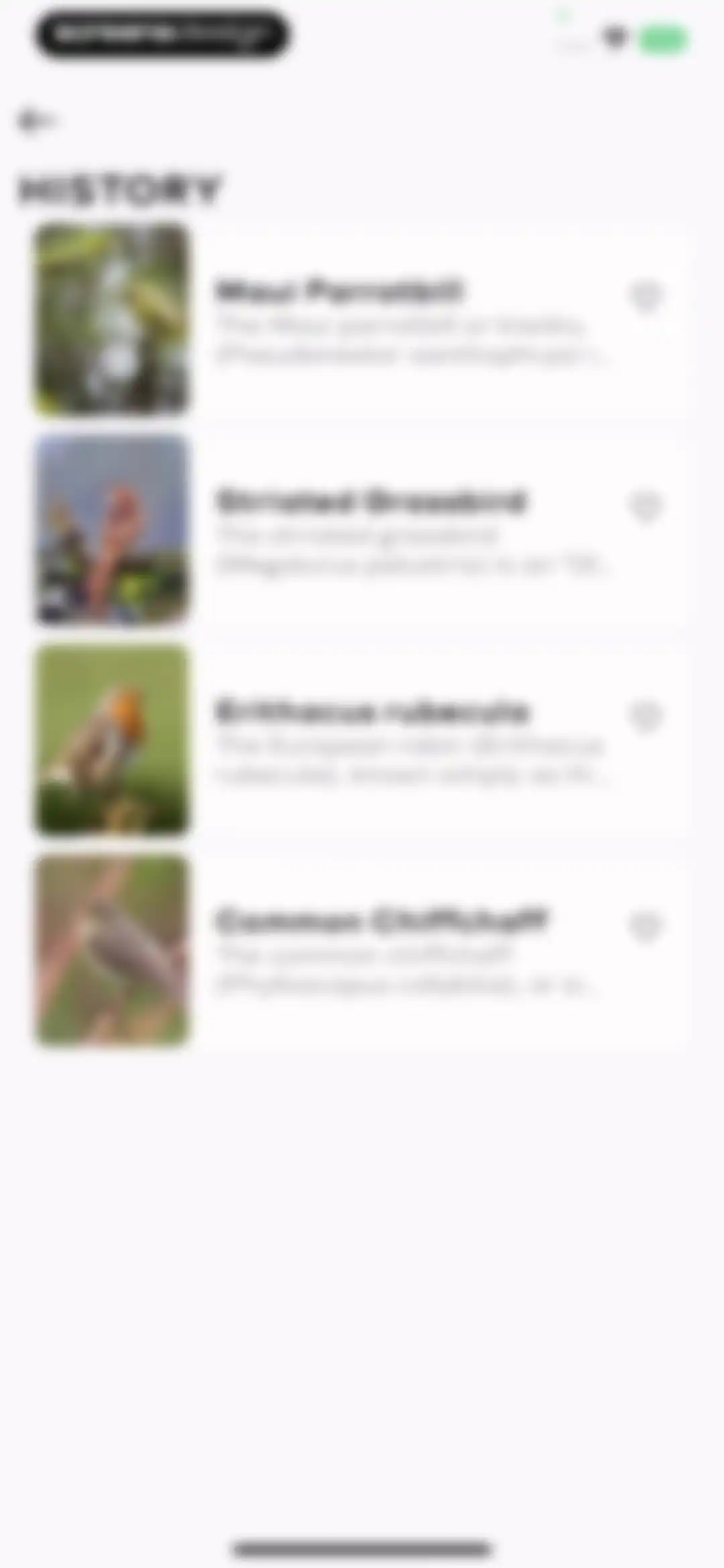 Bird Sounds Identifier Call ID screen 46