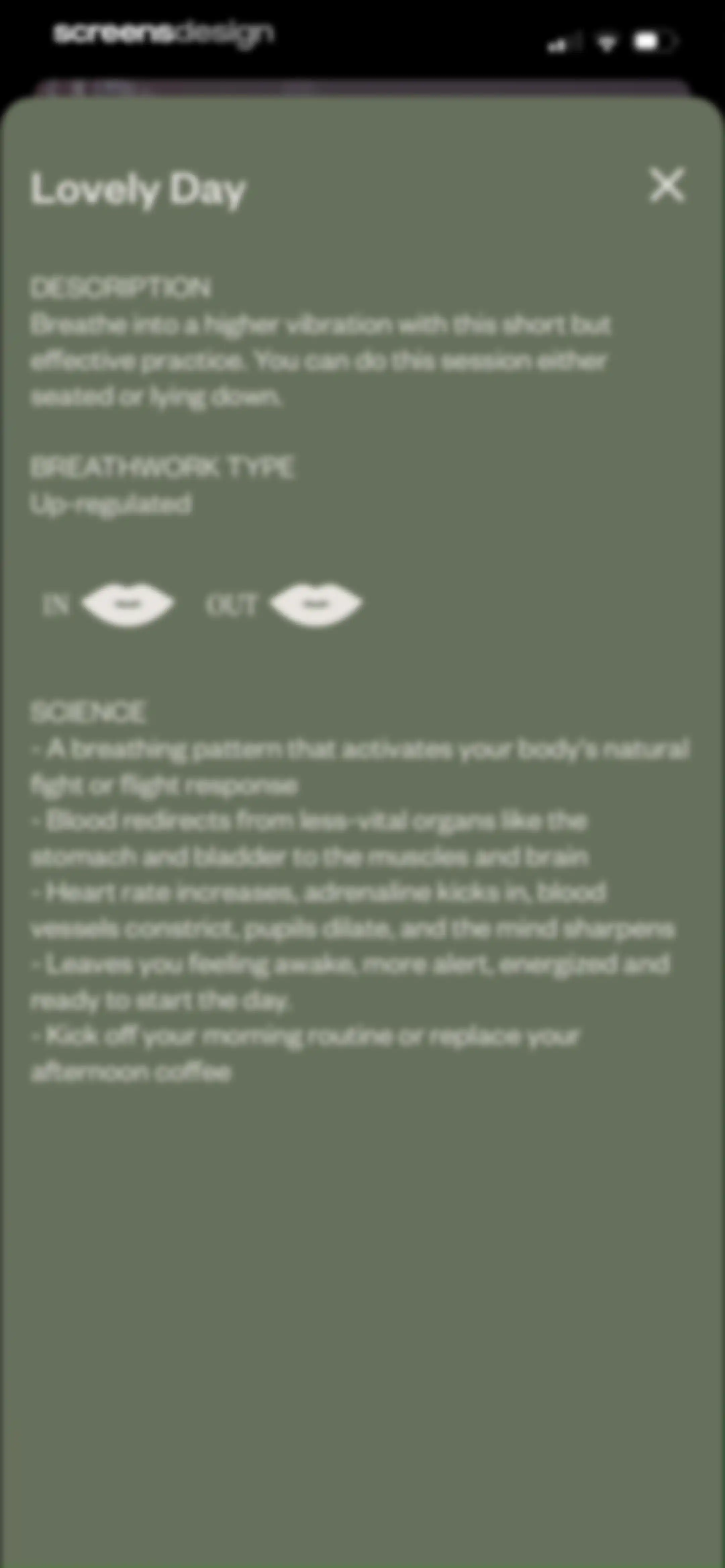 Othership: Guided Breathwork screen 30