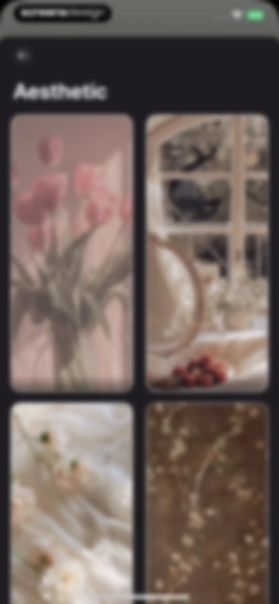 Aesthetic: App icons & Widgets screen 35