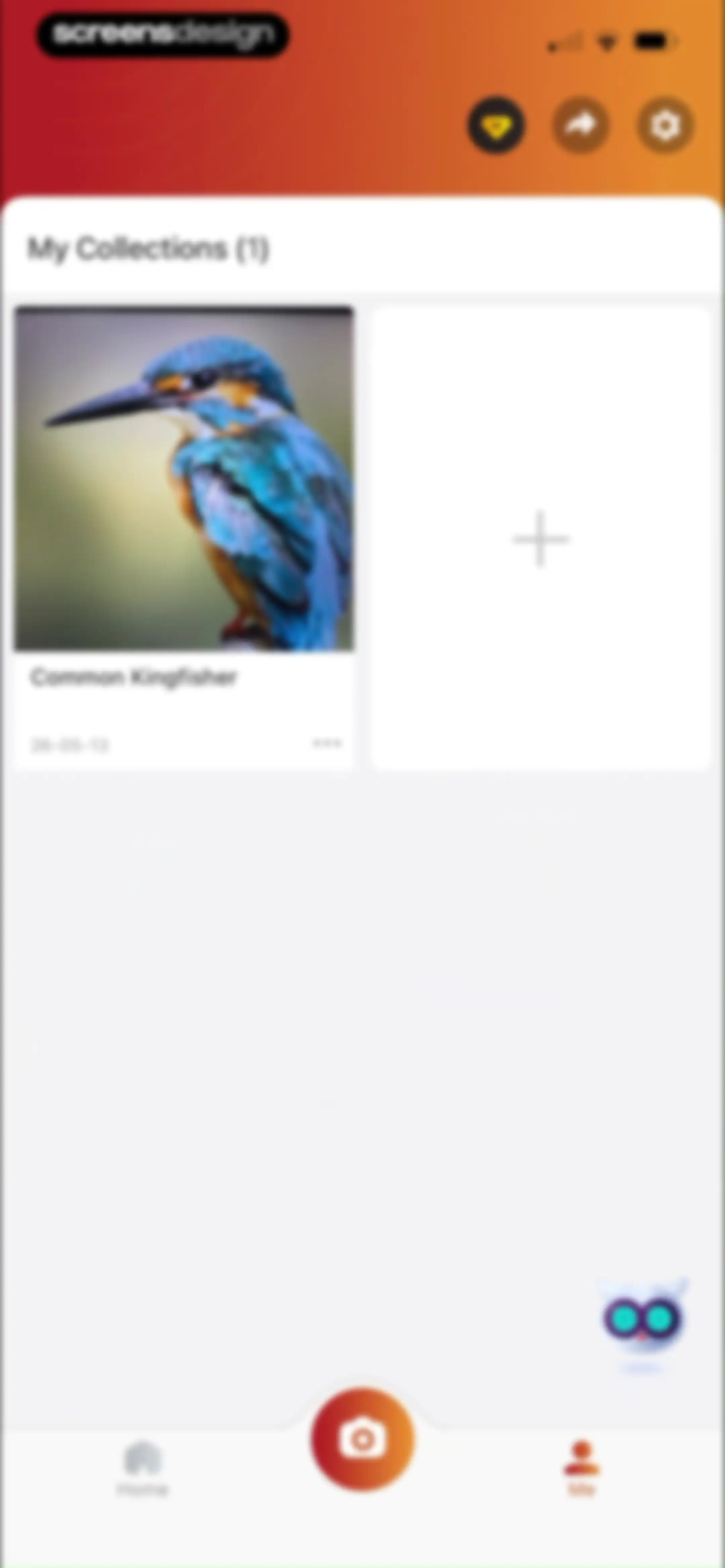 Picture Bird: Bird identifier screen 46