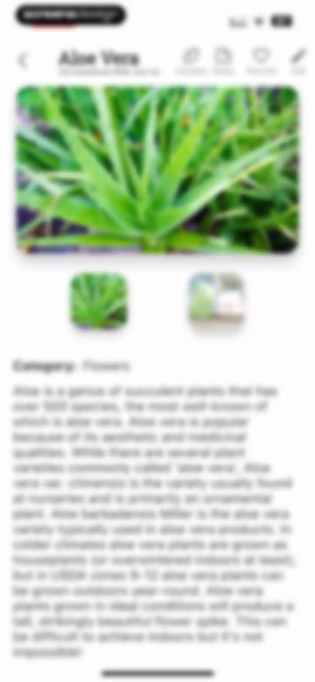 Planter: Garden Planner screen 53