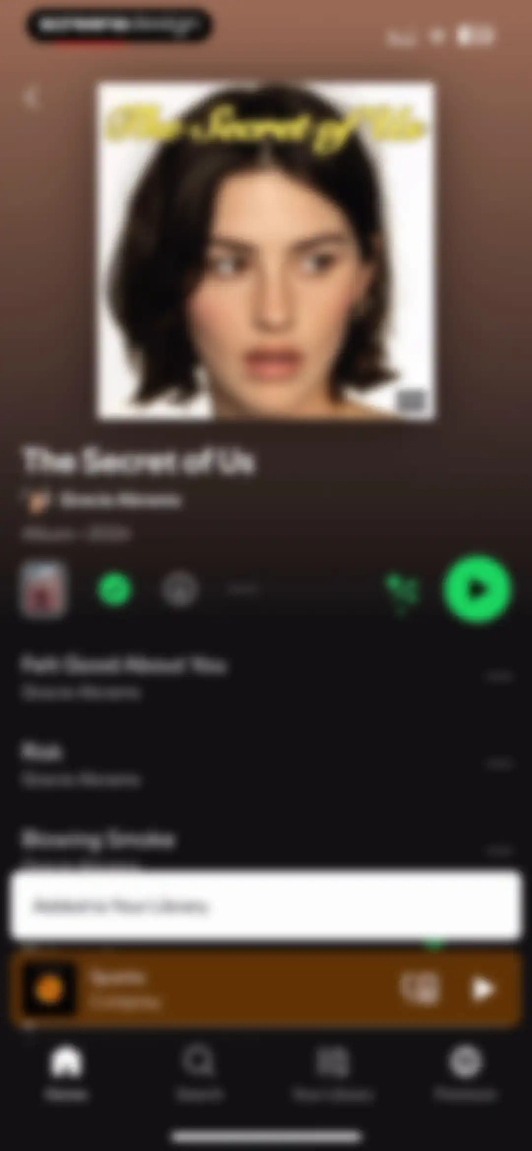 Spotify: Music and Podcasts screen 31