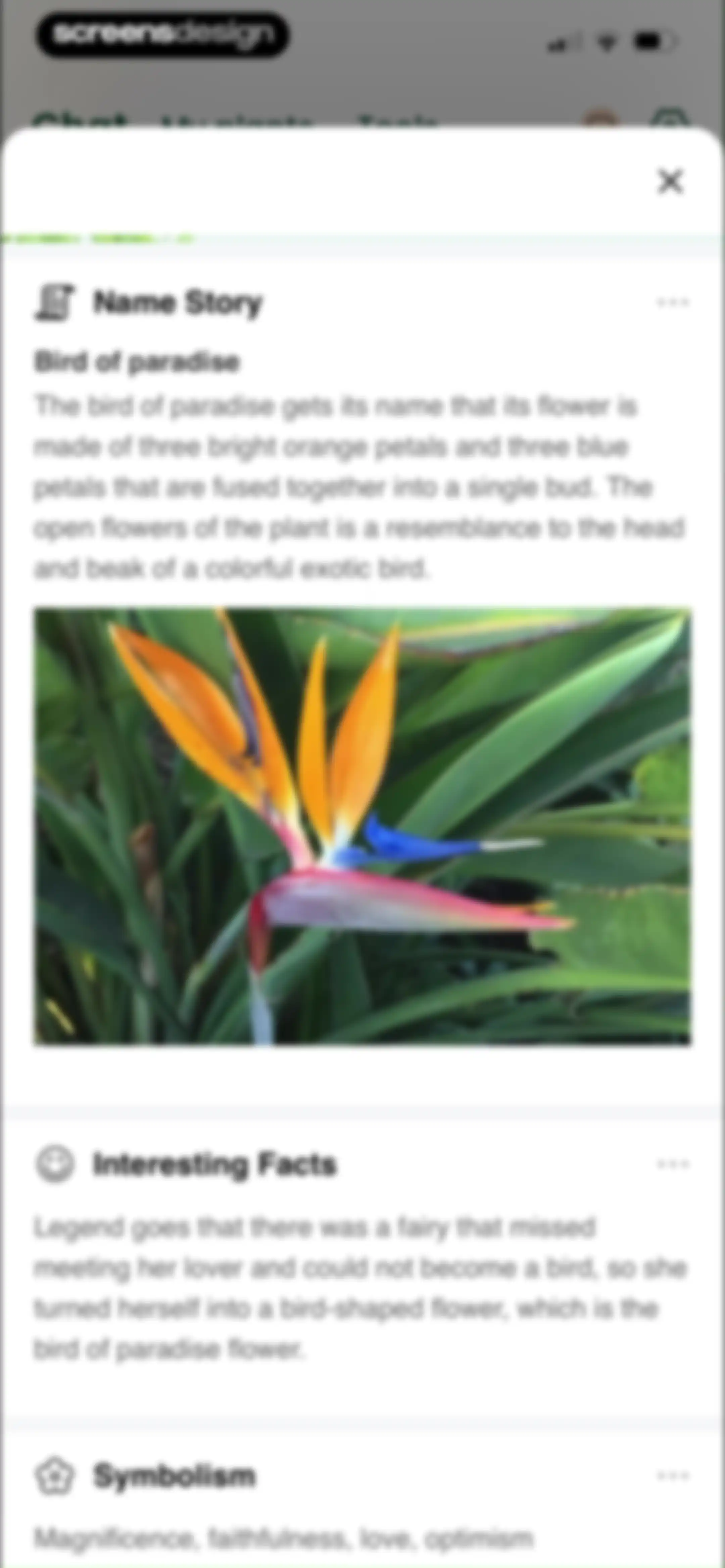 PlantAI: Identifier & Diagnose screen 32