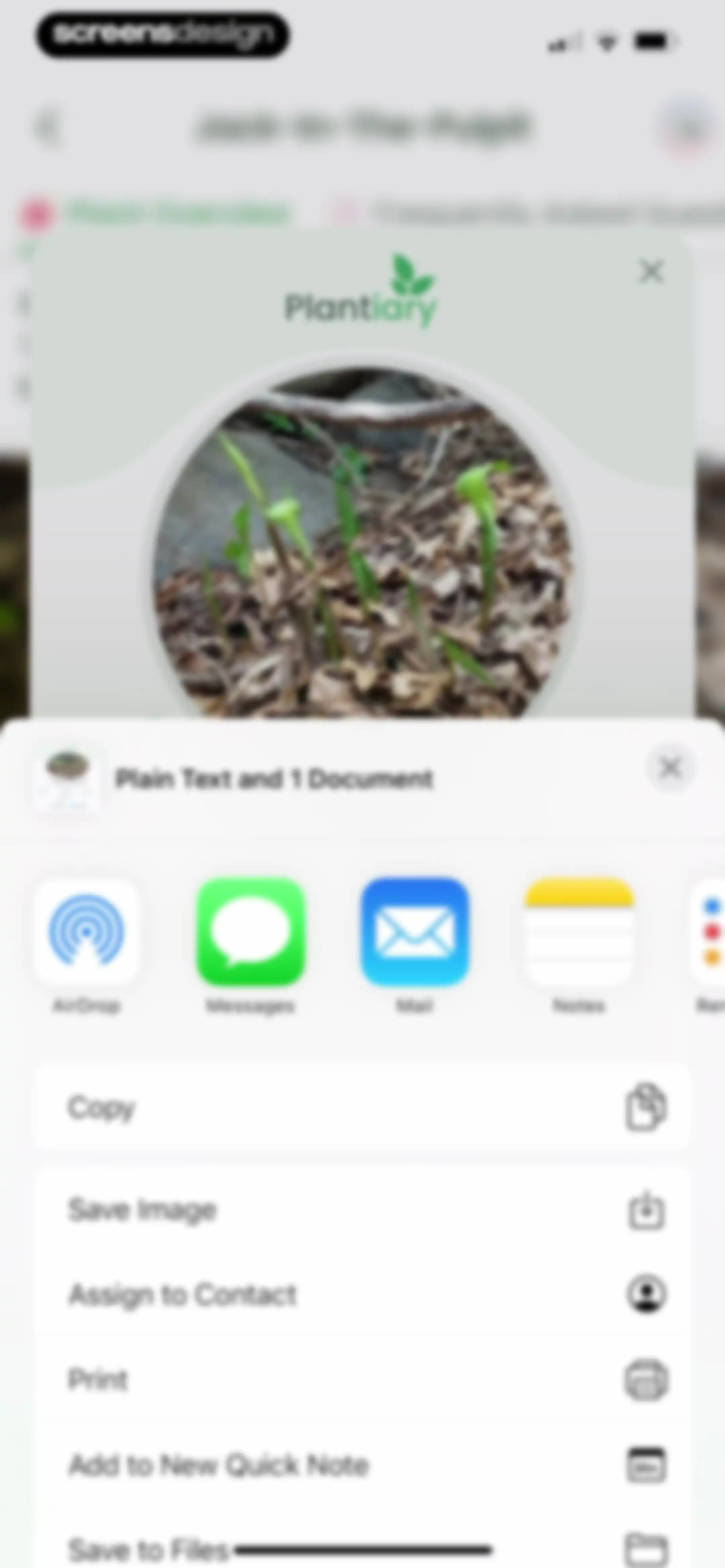 Plant Identifier: Plantiary screen 35