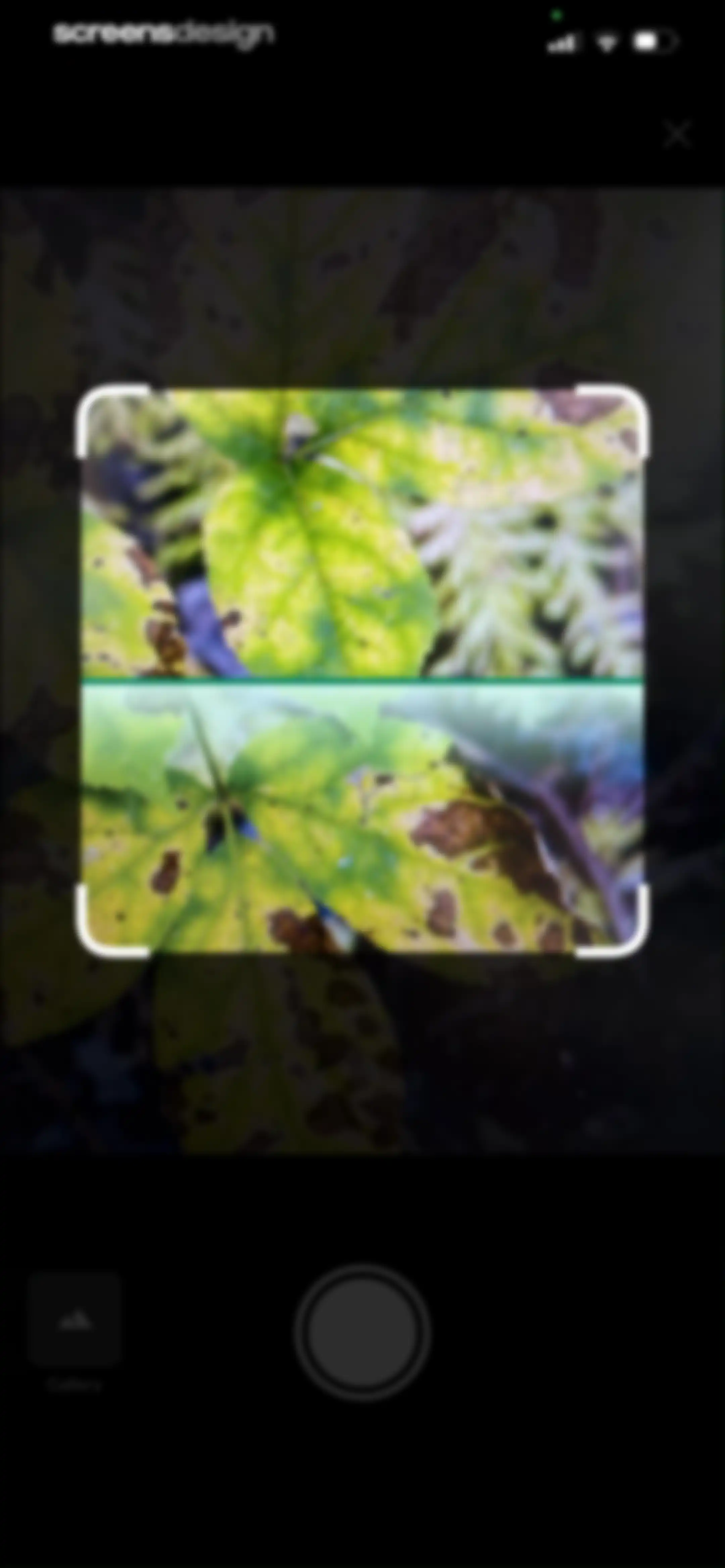 Plant Identification－Plantaria screen 72